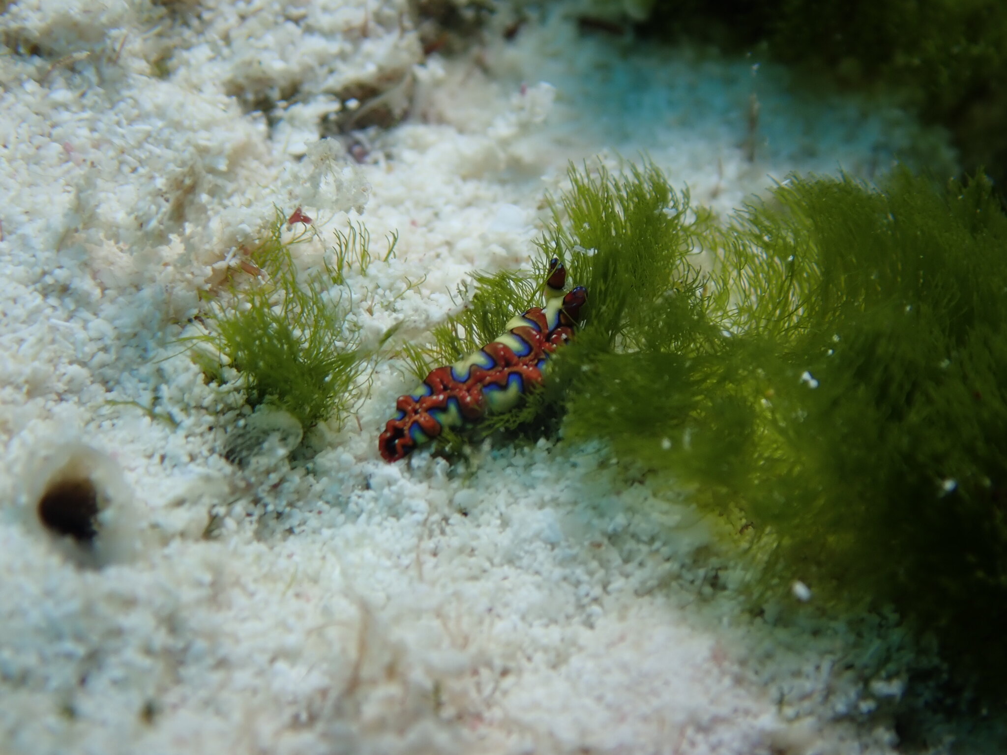 IMG_8774.JPG