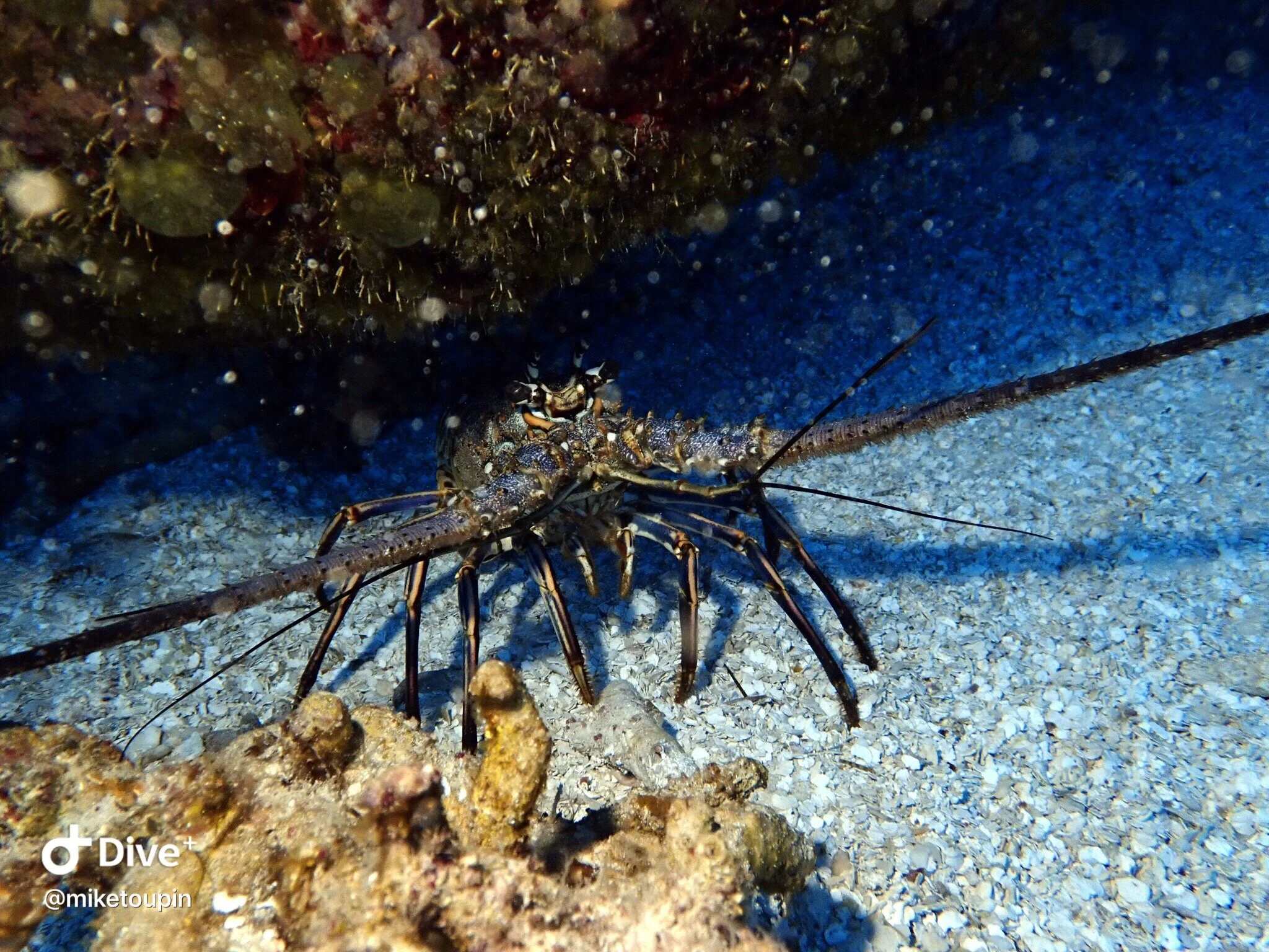 IMG_9022 2.JPG