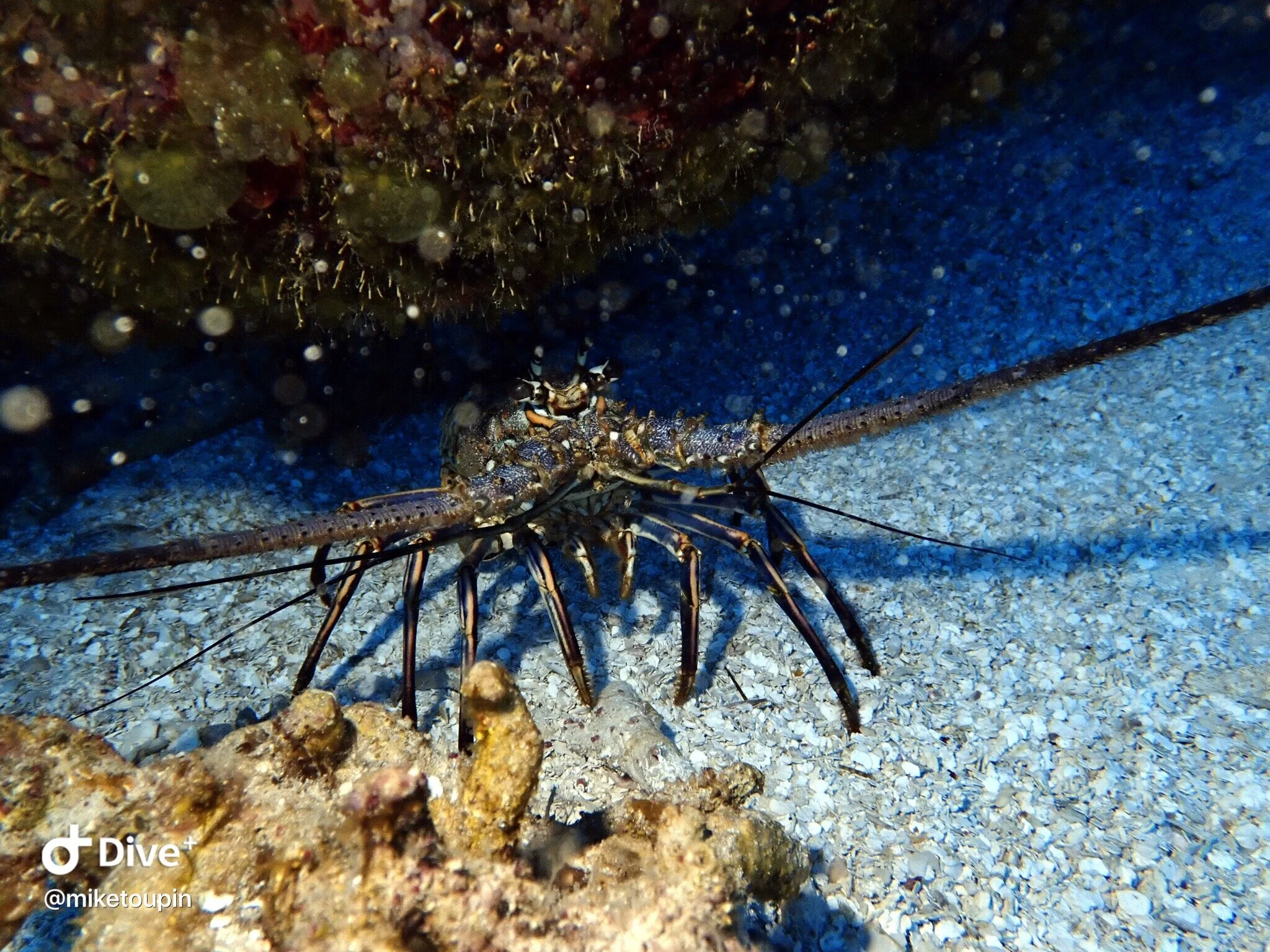 IMG_9023 2.JPG