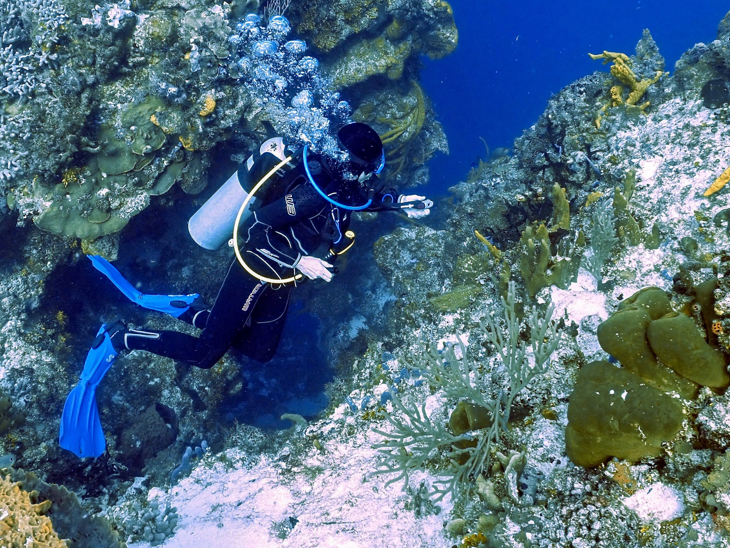 Vicki - that's the blue beyond her. Deep. Beautiful.