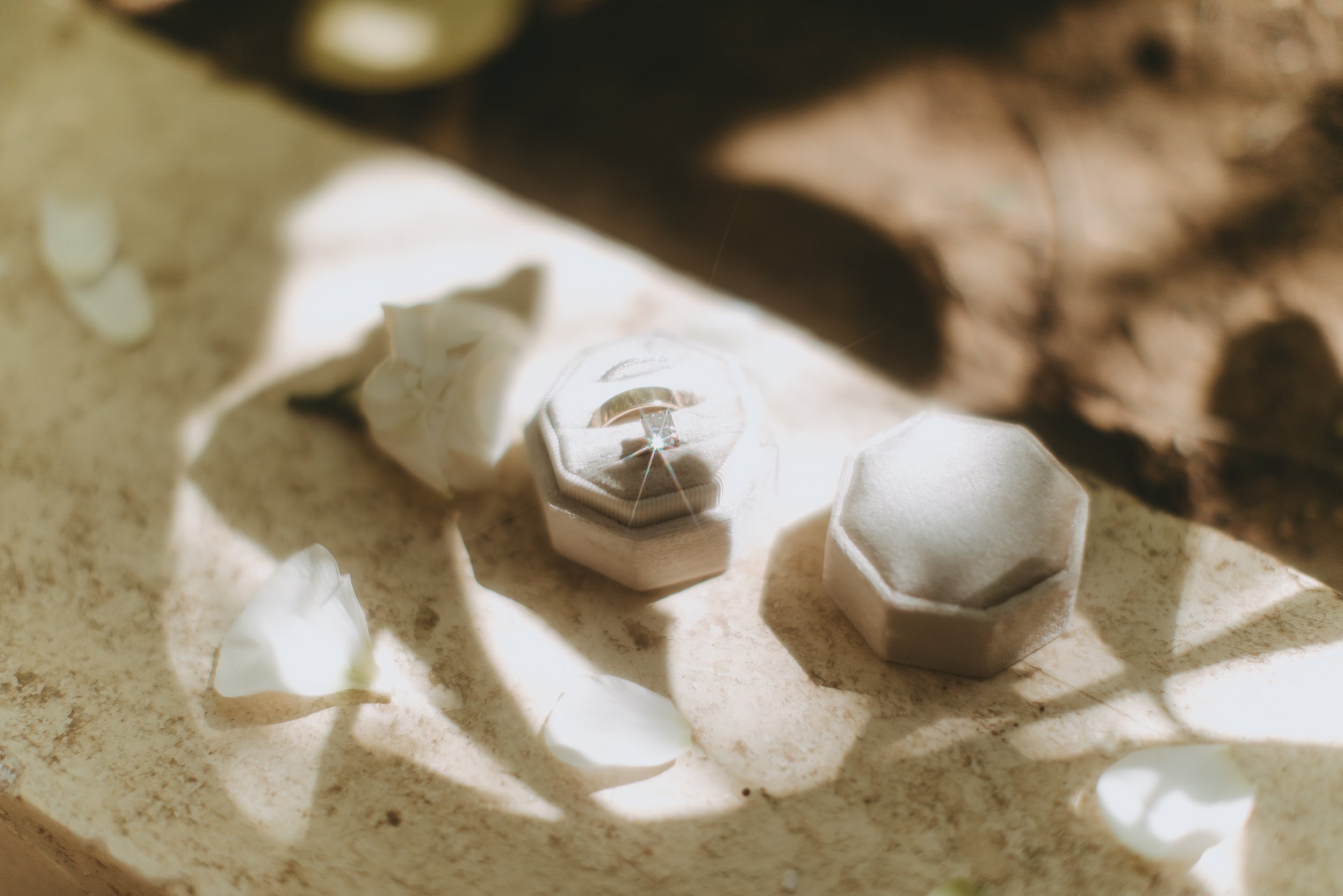 asfdf.AGphotos.jpg