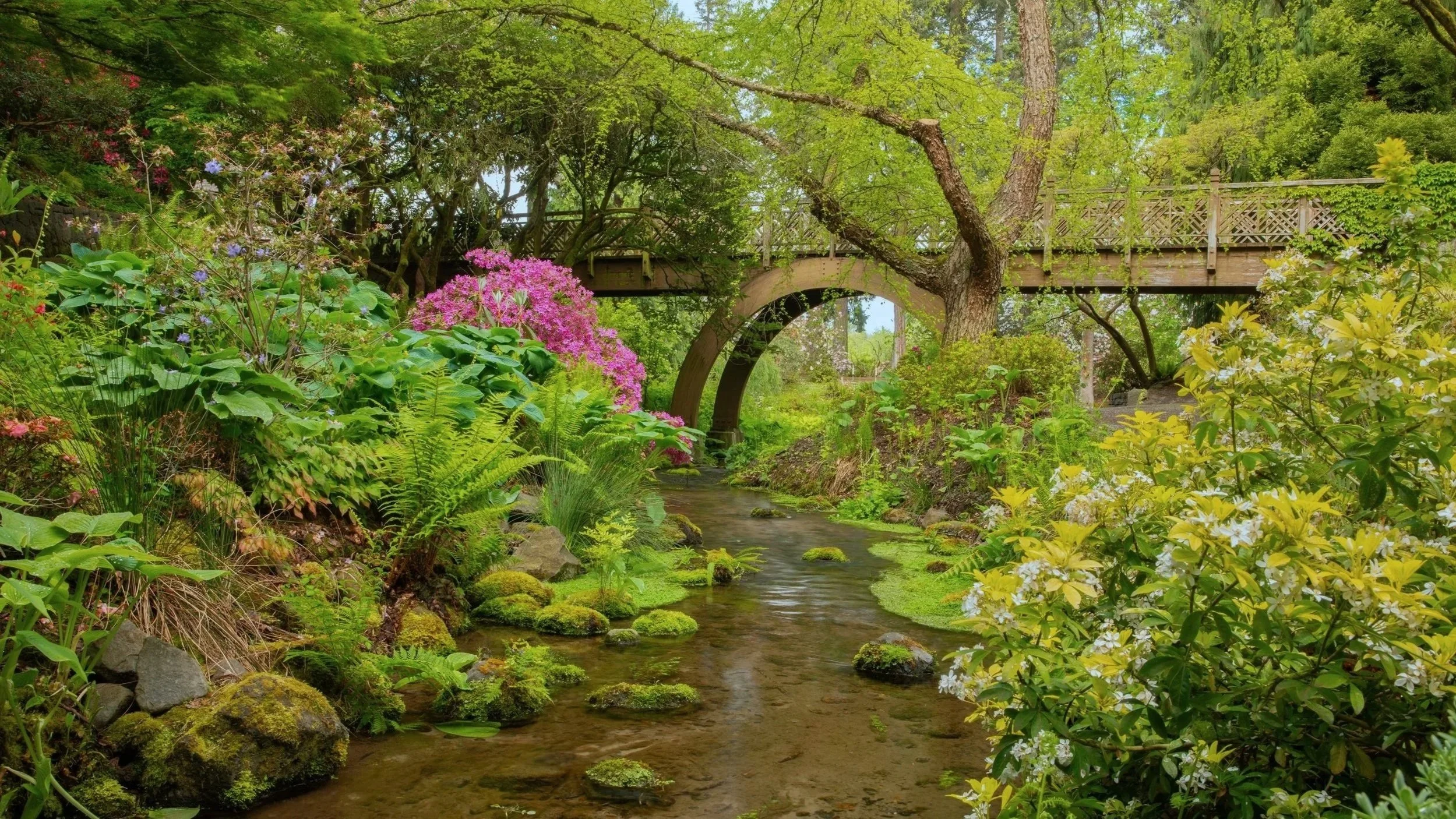 Crystal Springs Rhododendron Garden - Business Photo