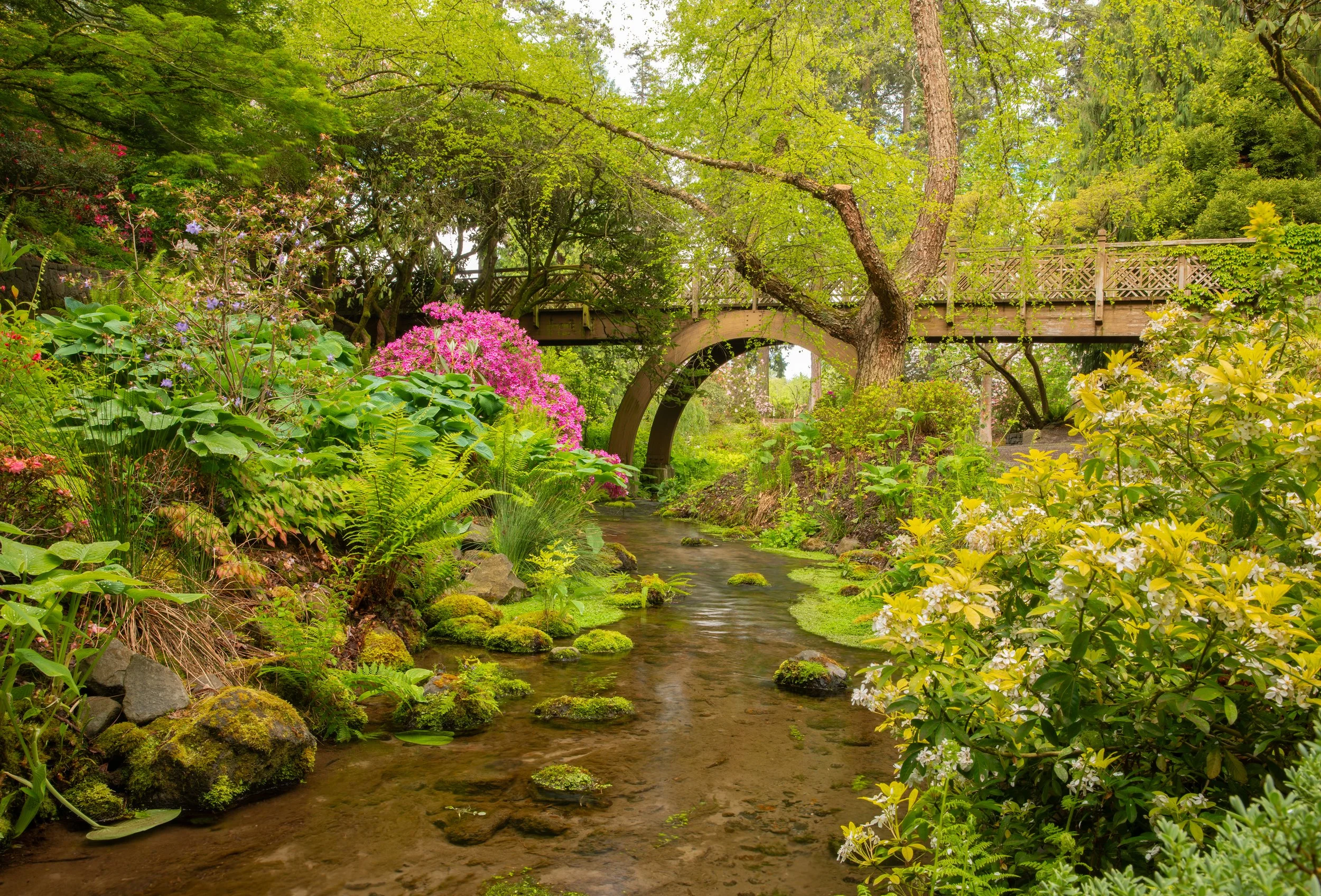 Crystal Springs Rhododendron Garden