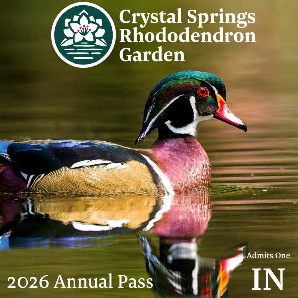 2026 Annual Pass - Individual