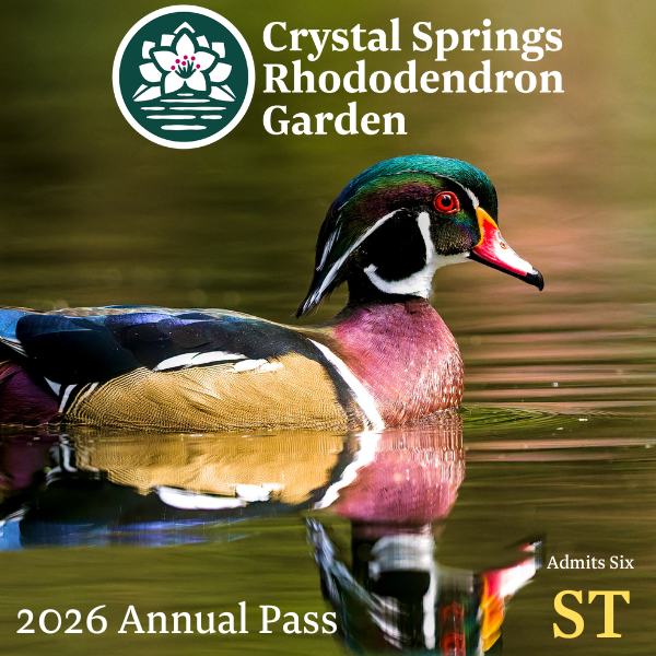 2026 Annual Pass - Steward