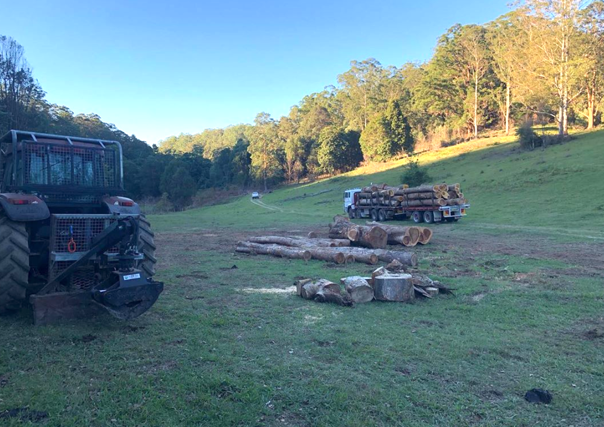 Screen Shot 2019-07-05 at 4.02.52 pm.png