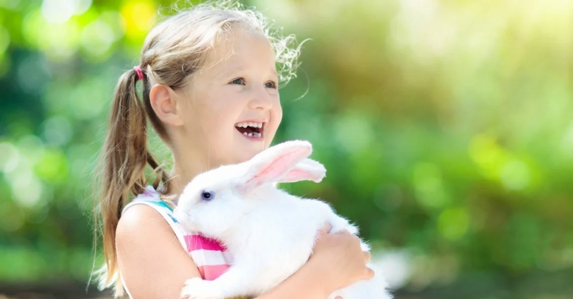 Where to Find the Best Easter Show in Your City