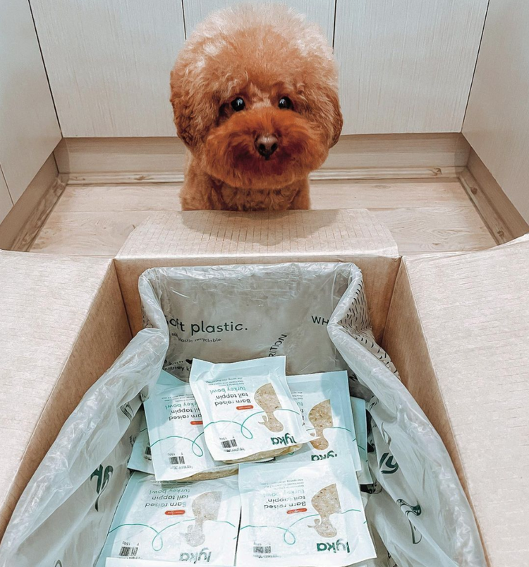 Lyka Pet Food — Thea Powell