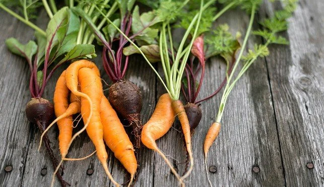 In the fight against food waste, ugly can be beautiful