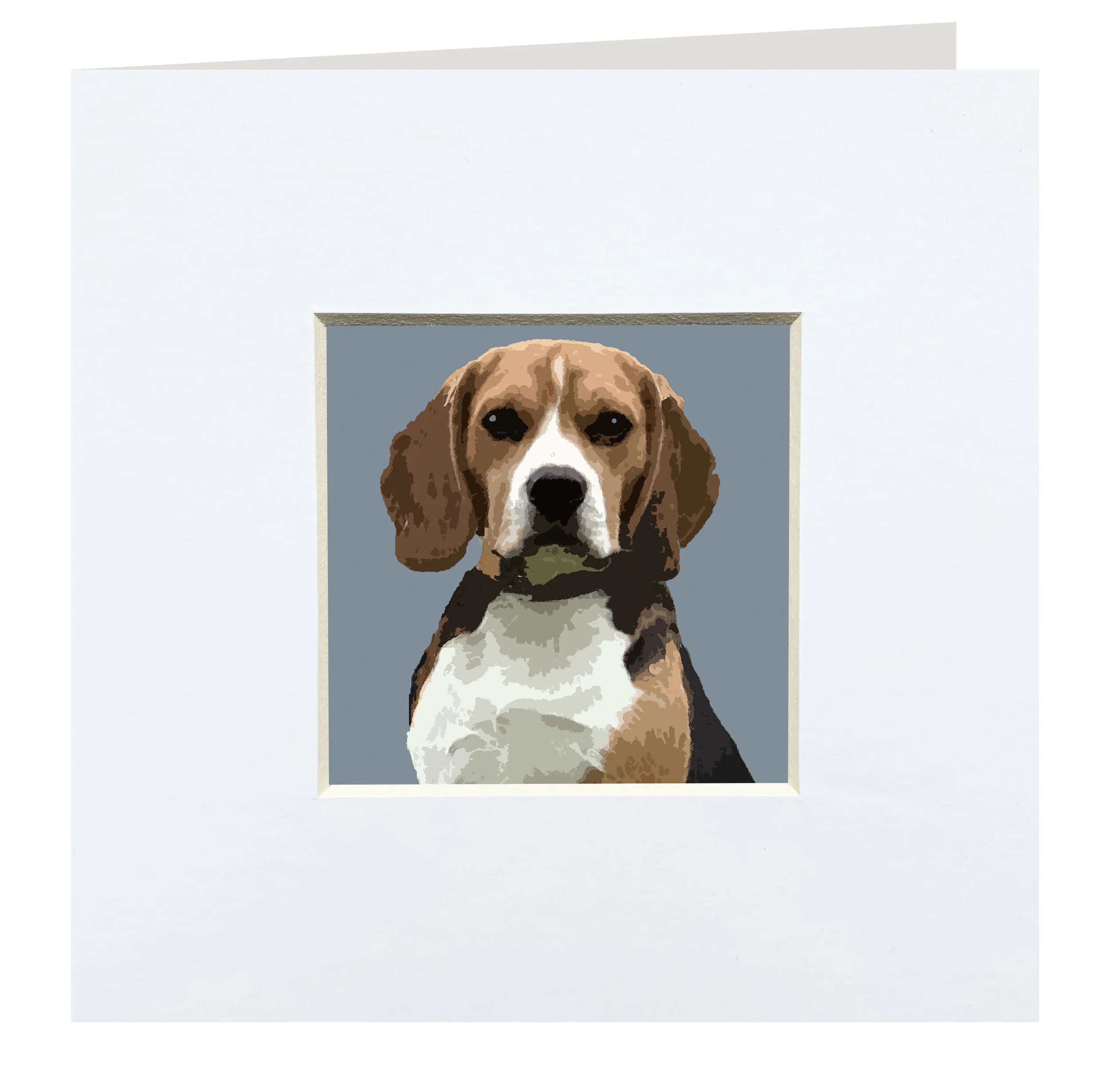 CGD004beagle.jpg