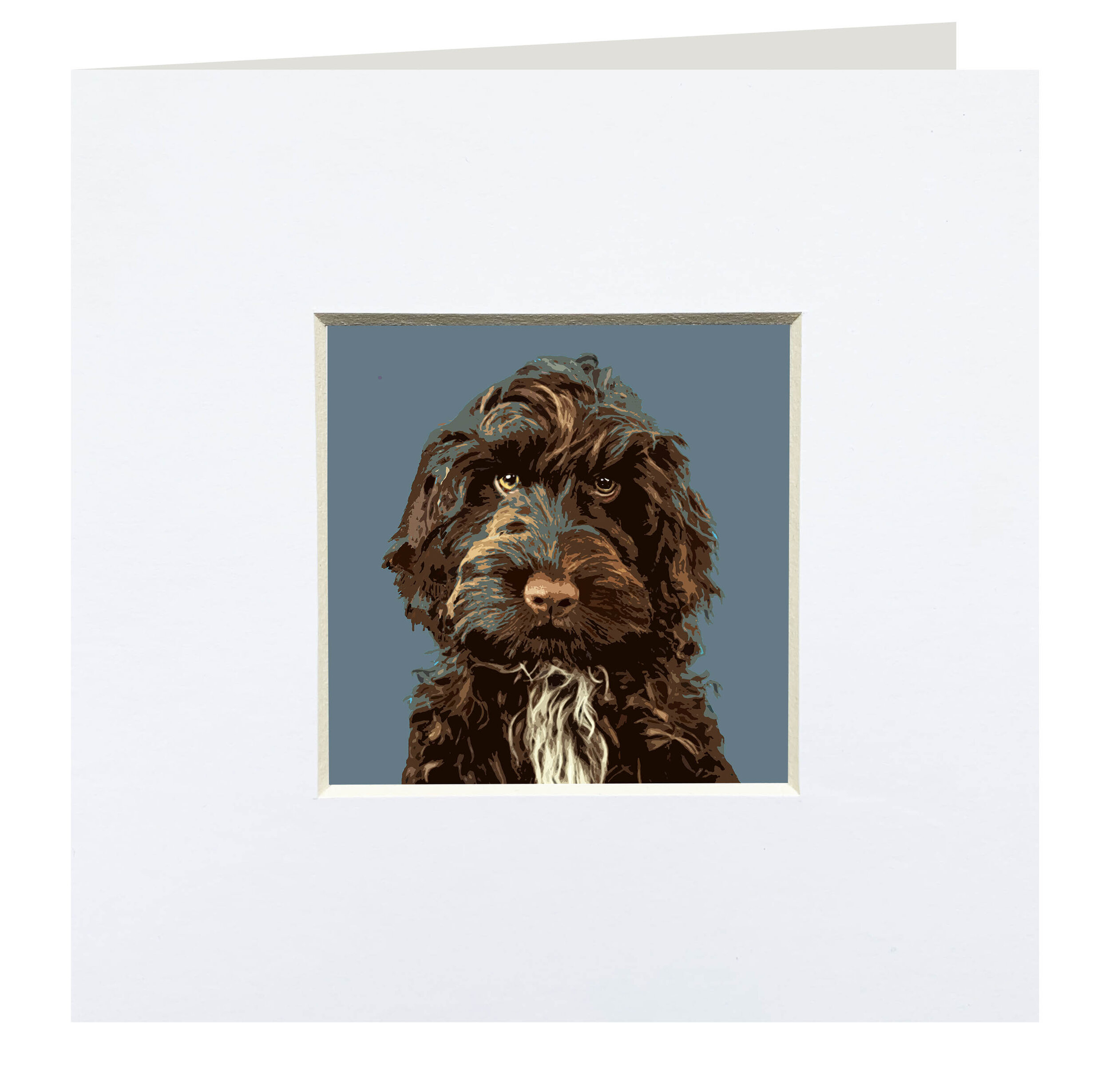 CGD018cockerpoobrown.jpg