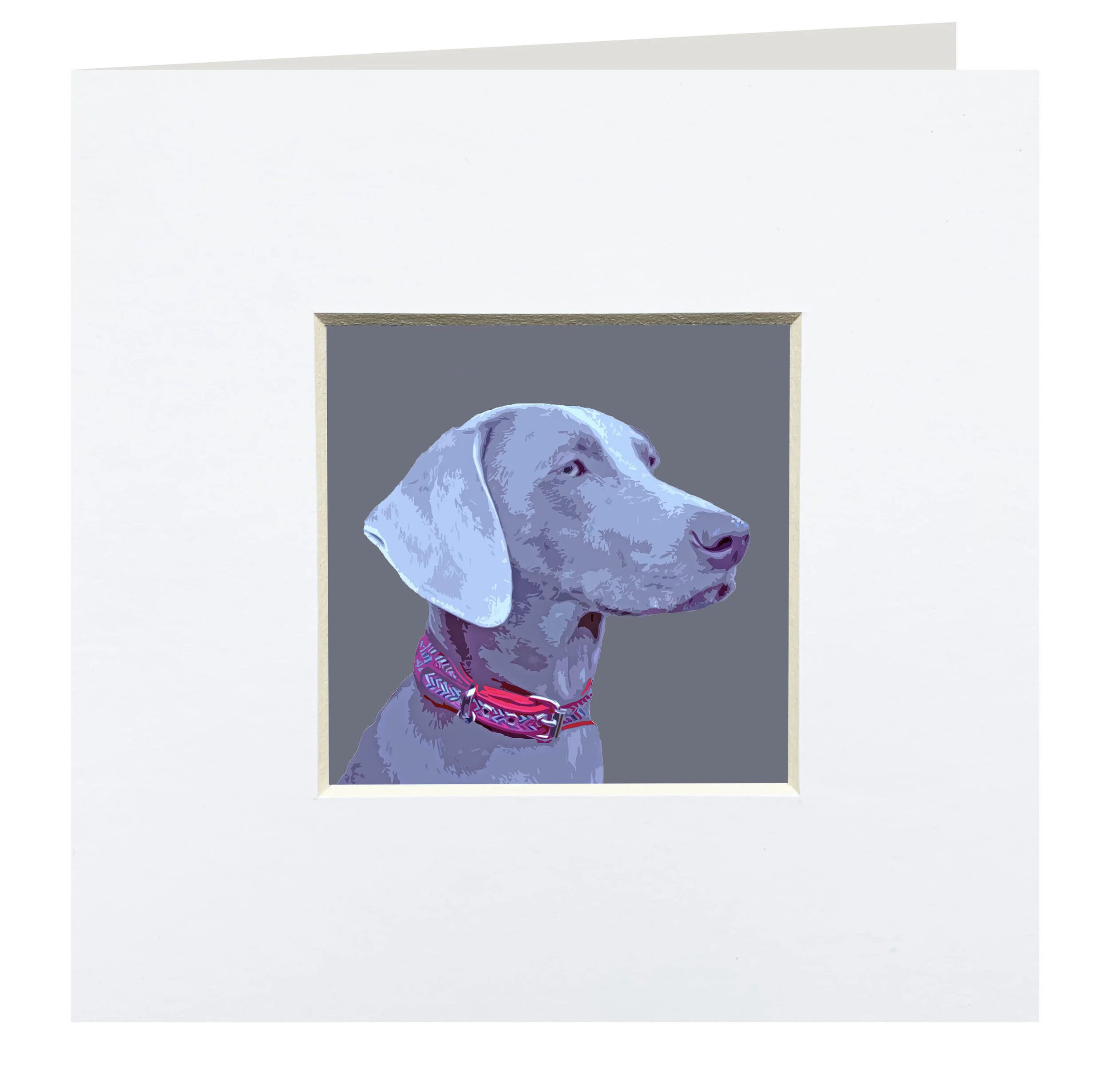 CGD057weimaraner.jpg