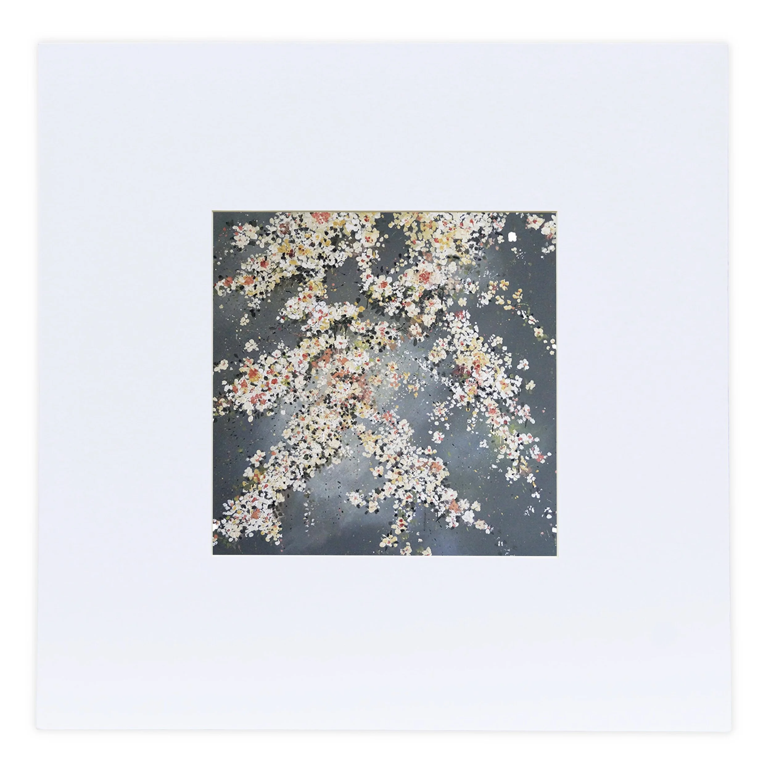 180E4FCE-C101-4301-A9DE-9580CDDC975D