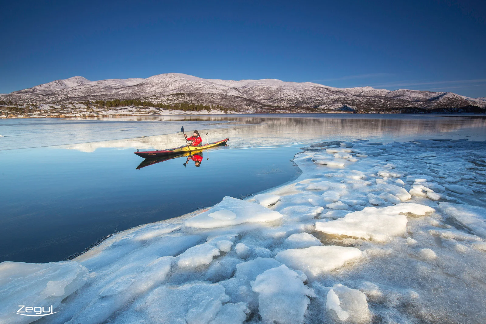 Tahe_Outdoors_Watersport_Brands_Zegul_Golden.jpg