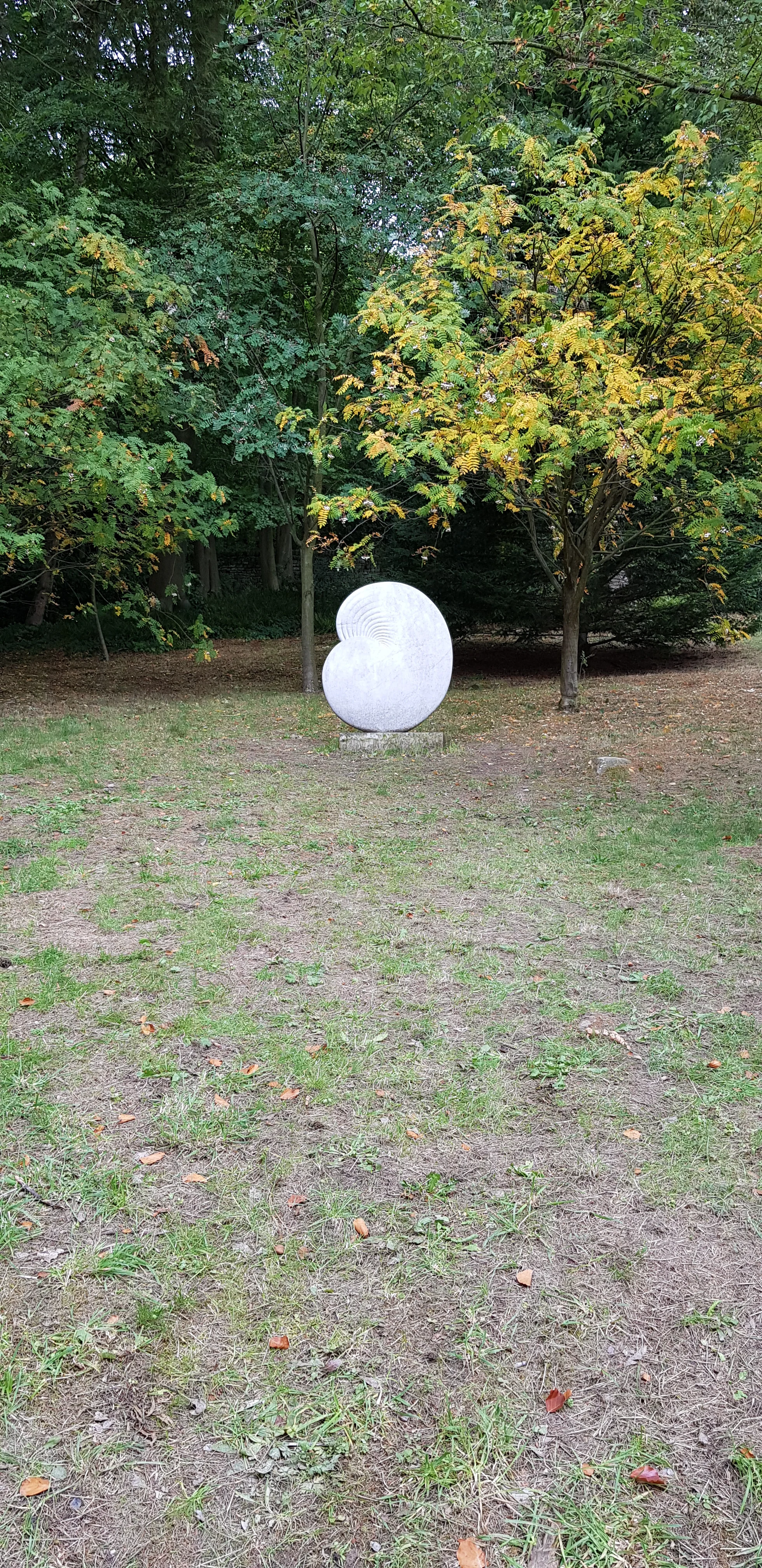 20180930_134516.jpg