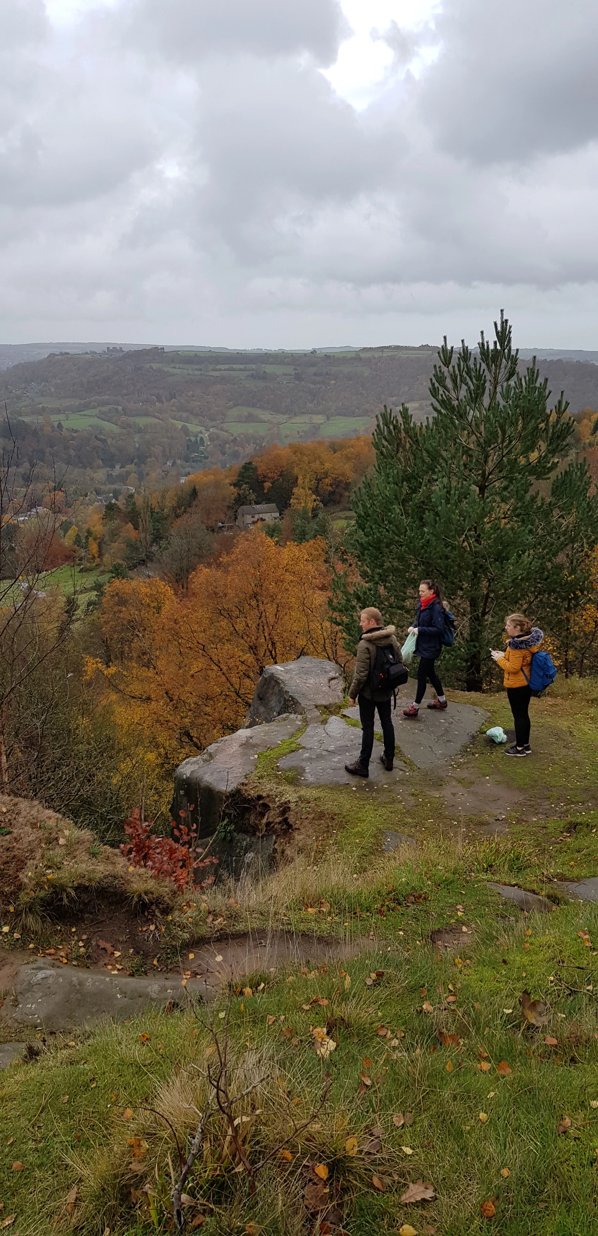 20181110_133147-2.jpg