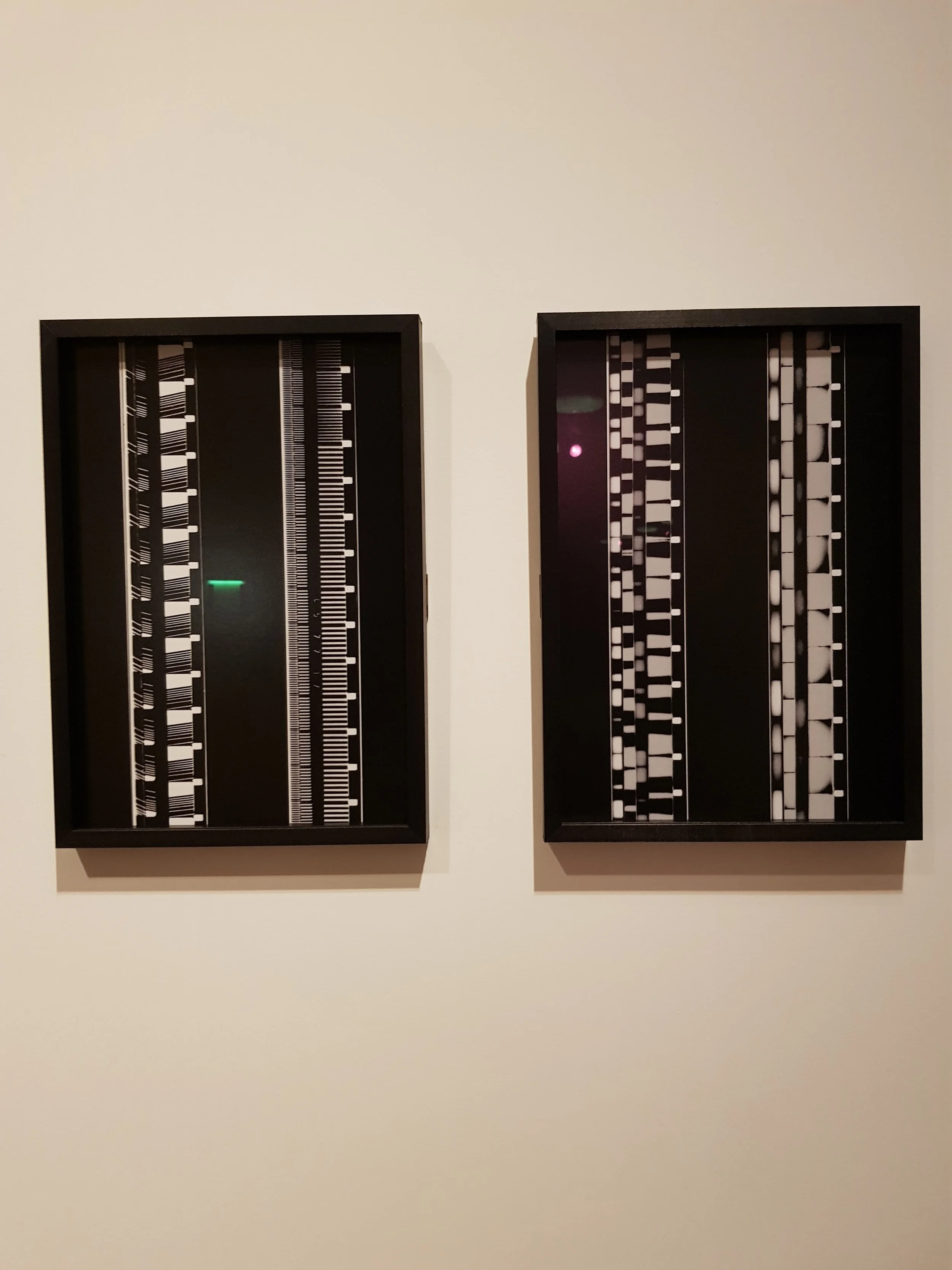 20190616_143724.jpg