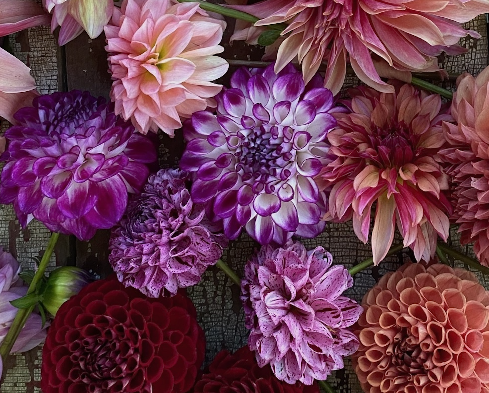 Screenshot 2026-03-07 at 12.19.41.png