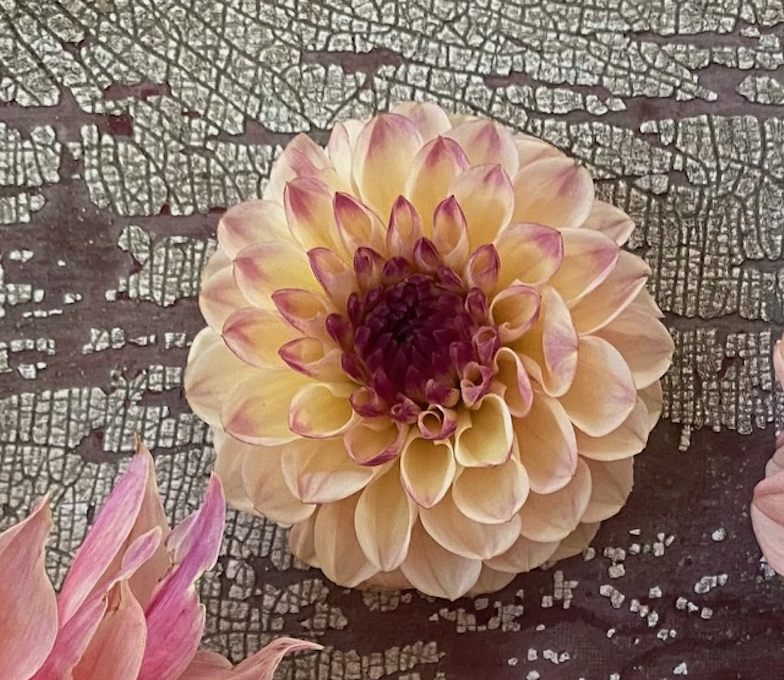 Screenshot 2026-03-04 at 15.08.05.png