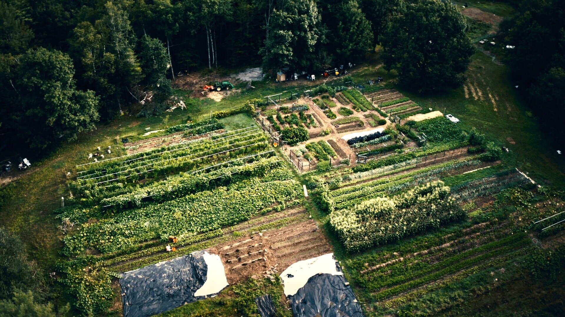 Overhead Drone of Farm Aug 2020 copy.jpg