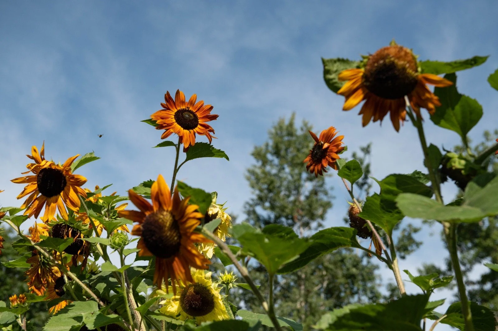 WhatsApp Image 2022-03-16 at 2.15.32 PM.jpeg