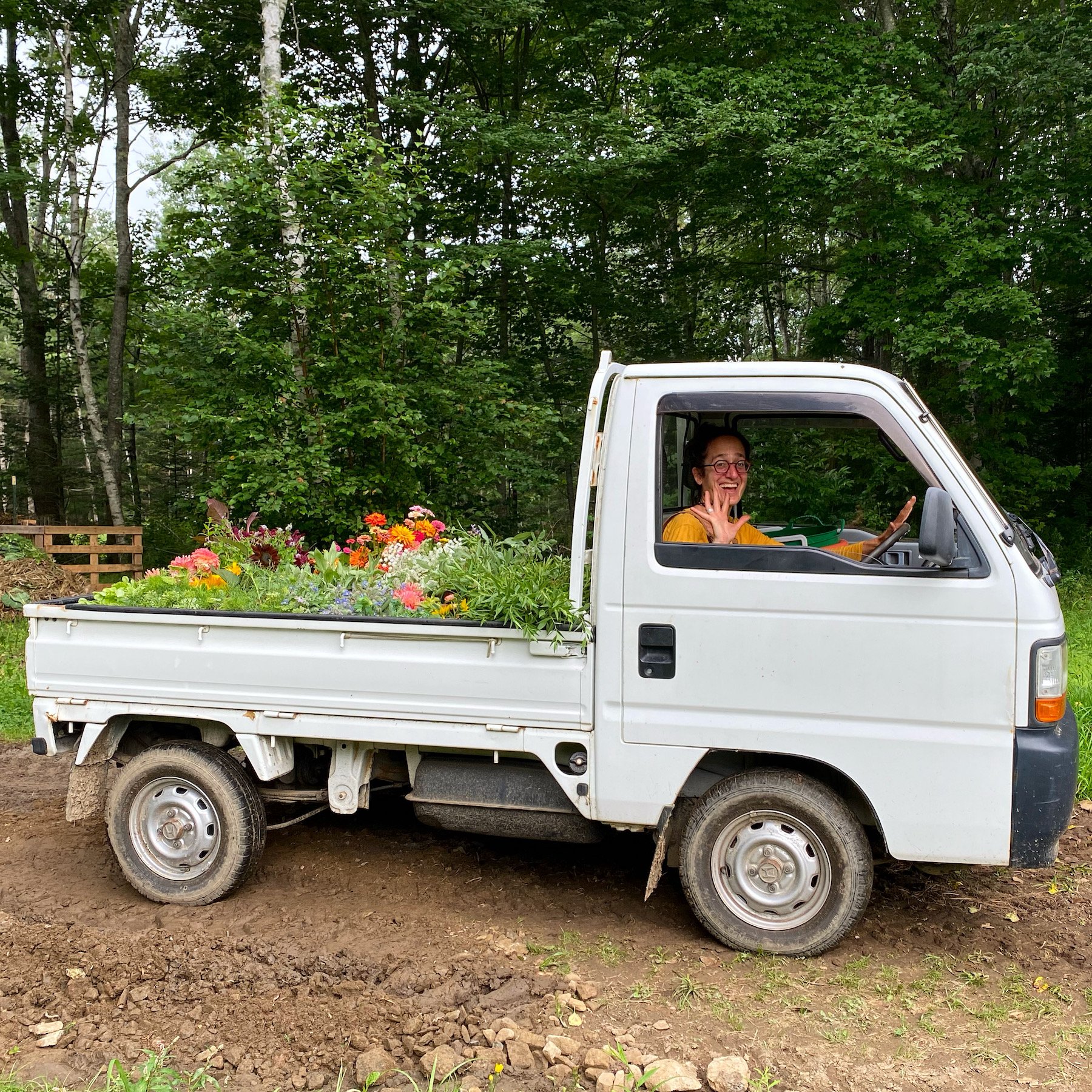 Erica Berman - Veggies to TableFlowers in Blanchette.JPG