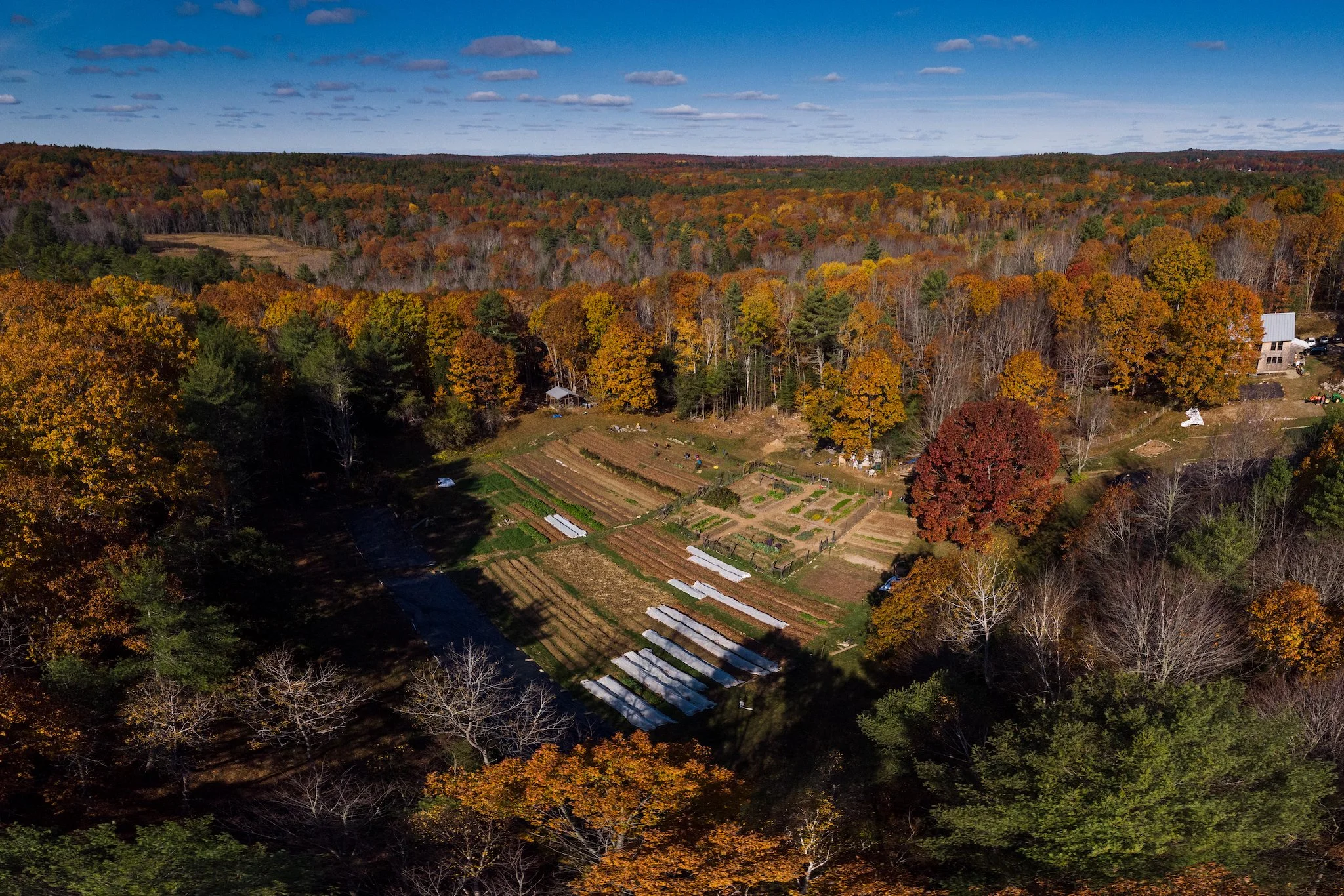 DJI-0905-Veggies to Table Tanner Gale.JPEG