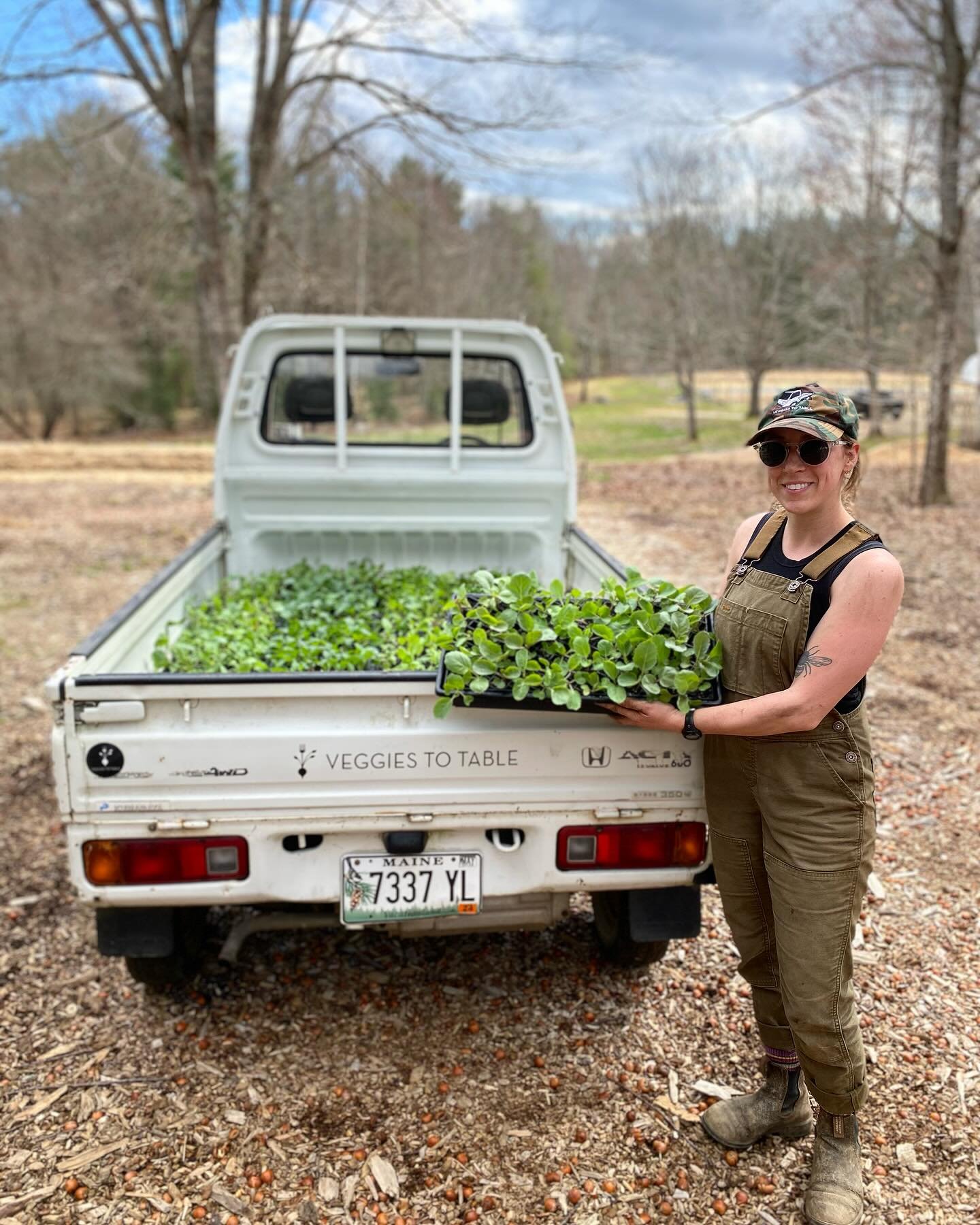 So many seedlings moved into the greenhouse today. Thank you @_hannaur and @bonita.johnson.129 for making it happen.