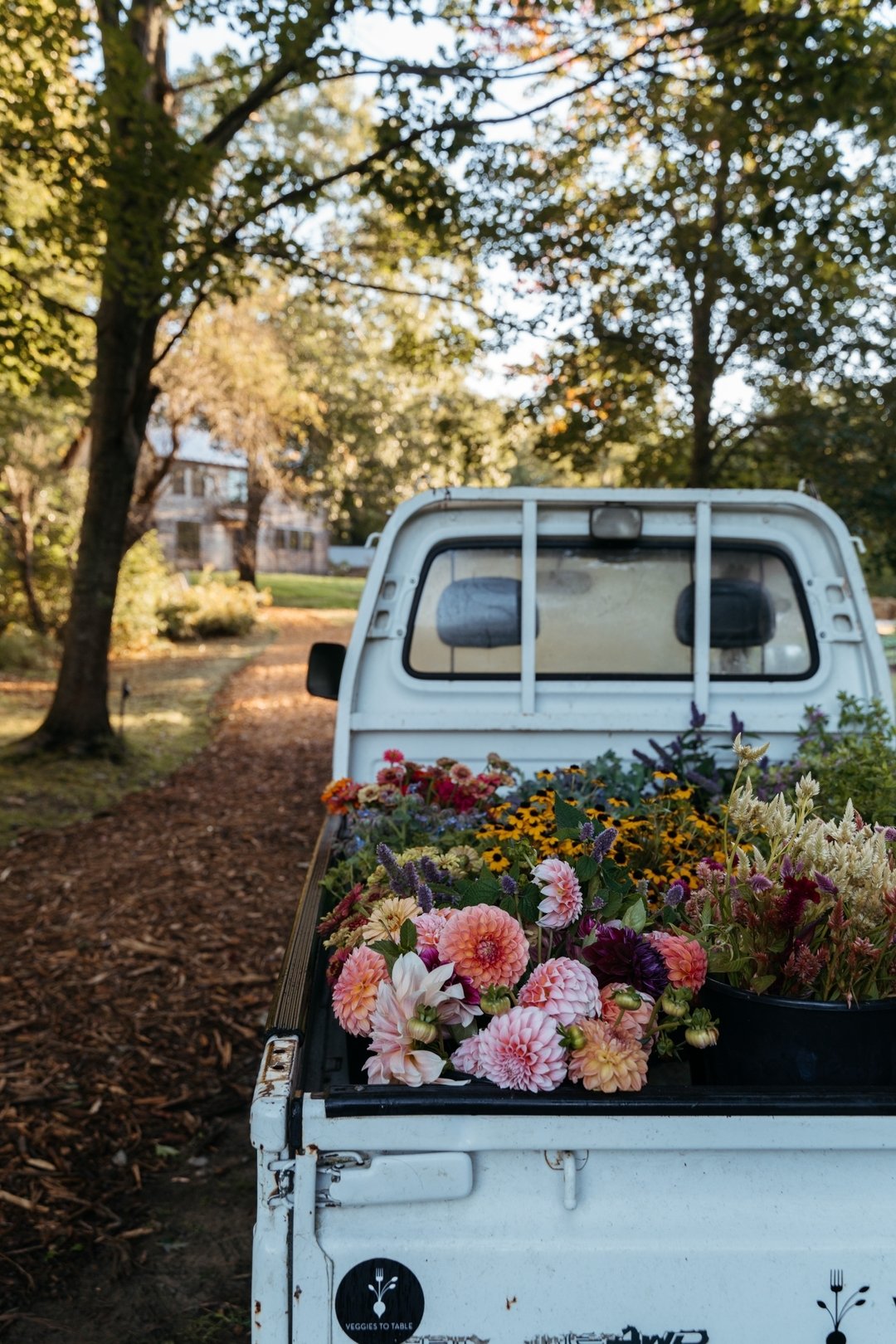 some pretty flowers in Blanchette for a rainy day! We are headed to #healthykids day at the @clcyma from 9-11 today, Saturday April 20th. We will have seed packets to donate along with cute little envelopes with stickers and seeds (beans, peas and co