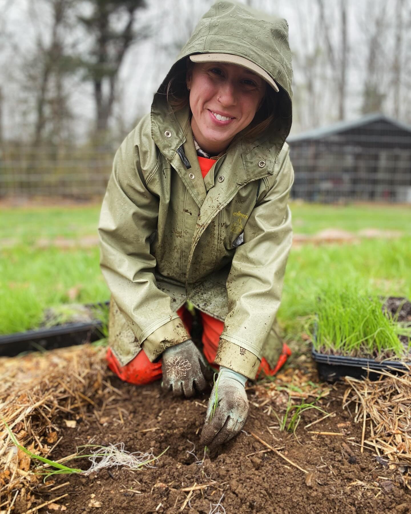 Bravo to our crew and volunteers for planting onions yesterday in the cold and rain (and wind). We continue today. @_hannaur @victoria_benditt @bonita.johnson.129 @mainelyindigothreads @tilmanpitcher @gracehoward9 Marry, Jules, Heidi and Kate @wwoofu