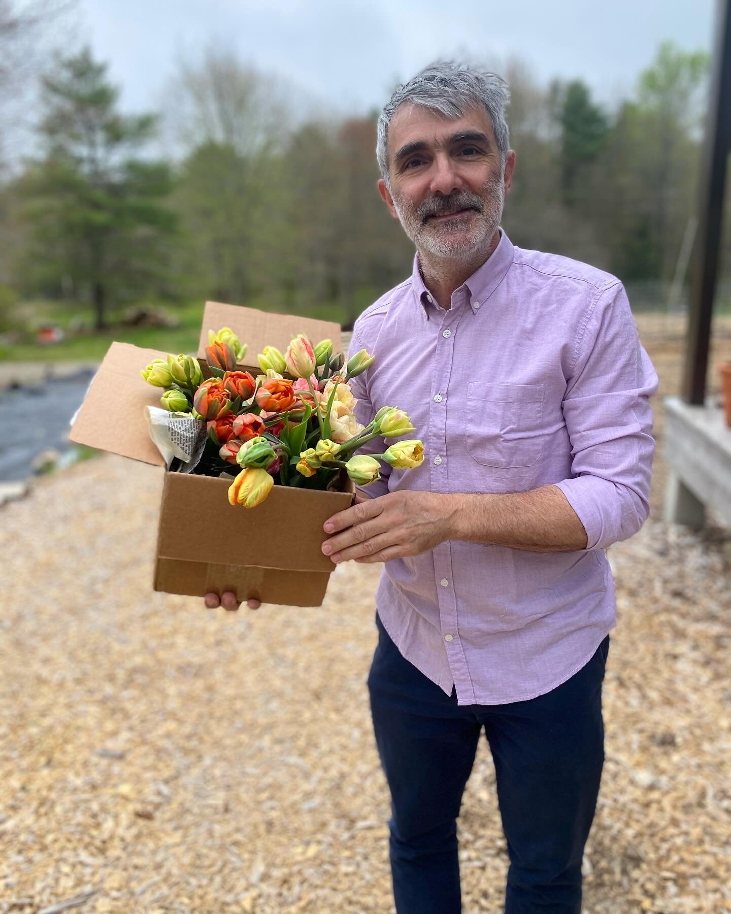 Tulip and daffodil joy continues while it lasts. Hundreds of stems went to #wiscassetmiddlehighschool and the #newcastleecumenicalfoodpantry this morning to create #flowerjoy and Alain was a happy deliverer.