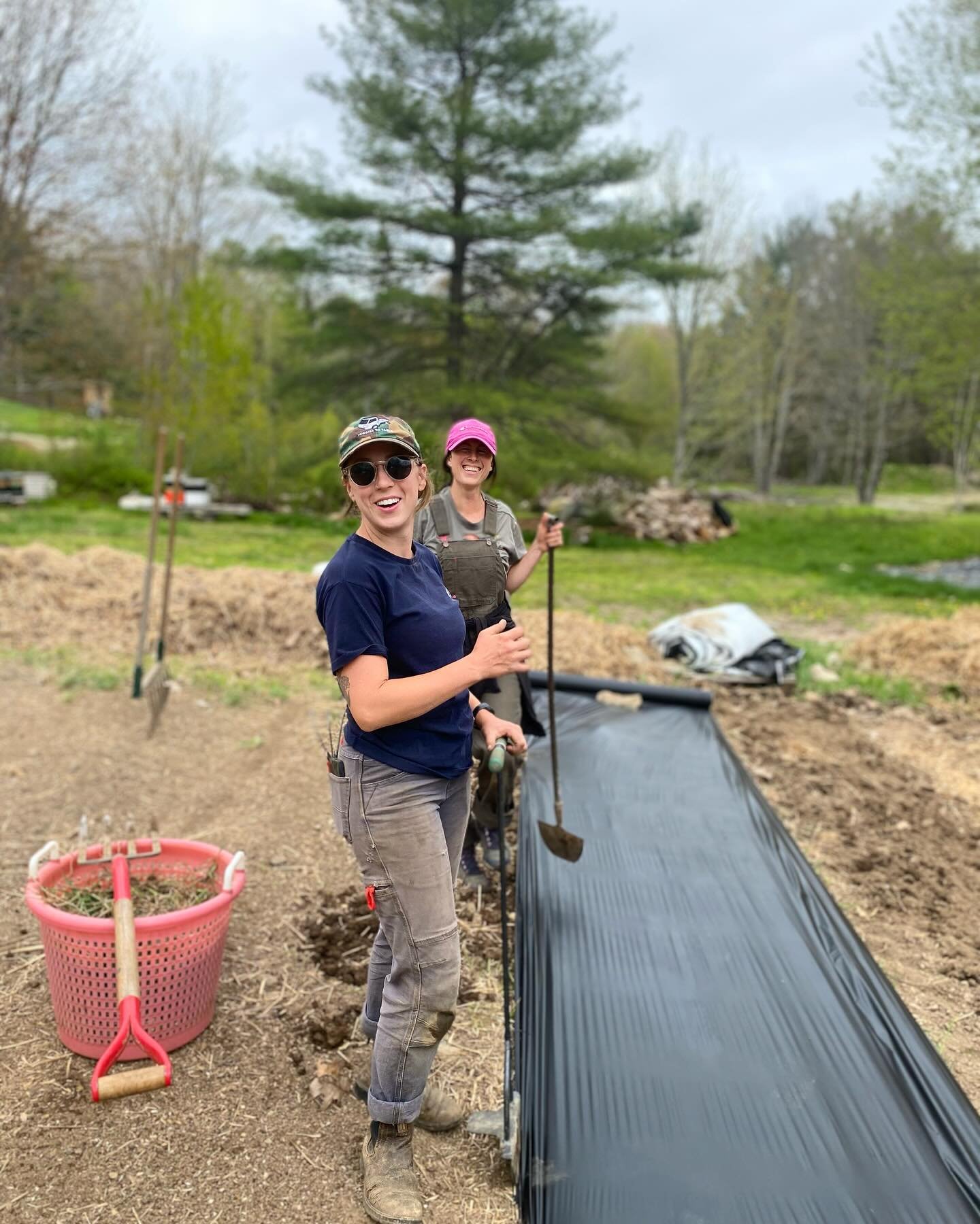 #notill bed prep at @veggiestotable getting the beds ready to plant as fast as we can. It&rsquo;s all done with @_hannaur @victoria_benditt @tilmanpitcher @bonita.johnson.129 @kateloveskale123
