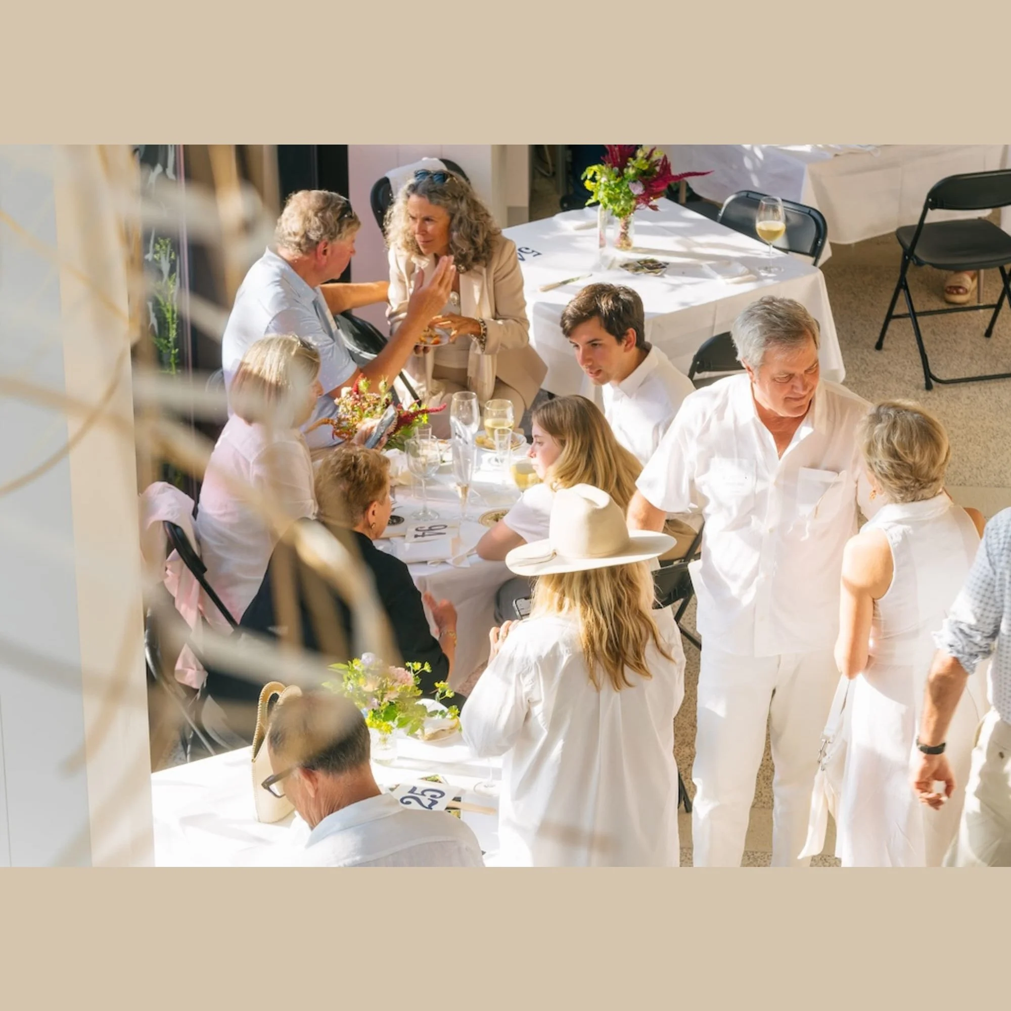 Dress to The Nines 3rd Annual Gala &amp; Auction