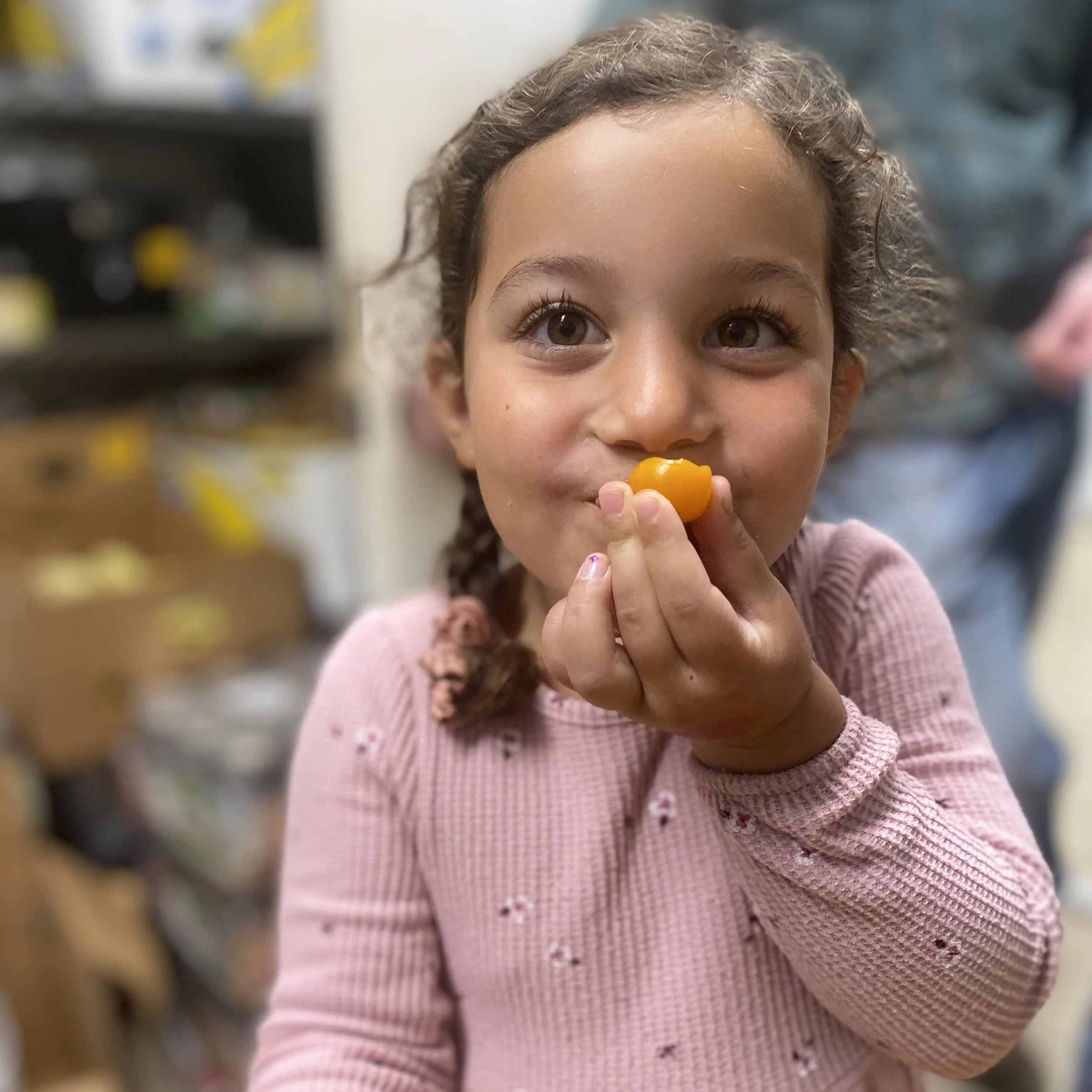 Tiny Farmers: Starting Seeds