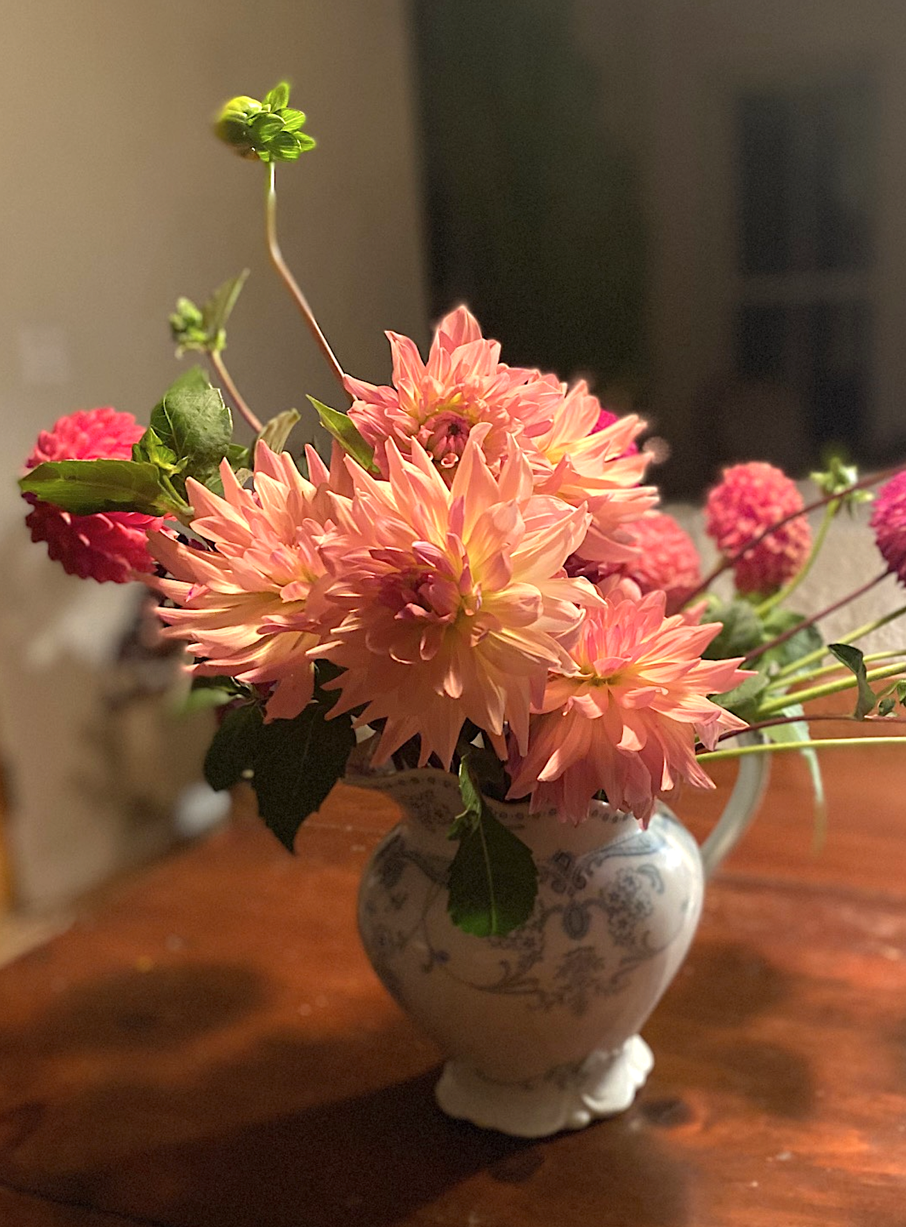 Bahama Mama Dahlia EBB.png