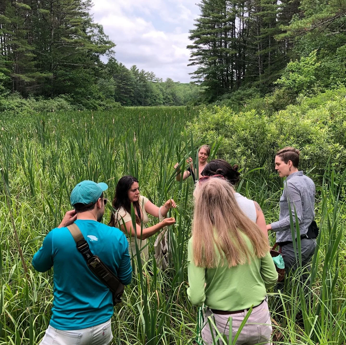 Foraging Class with Rachel Alexandrou — Veggies to Table