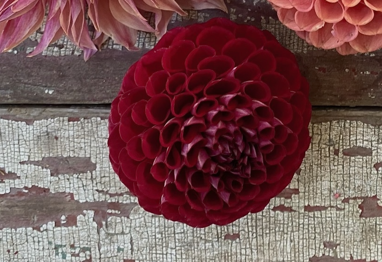 Screenshot 2026-03-07 at 11.52.09.png