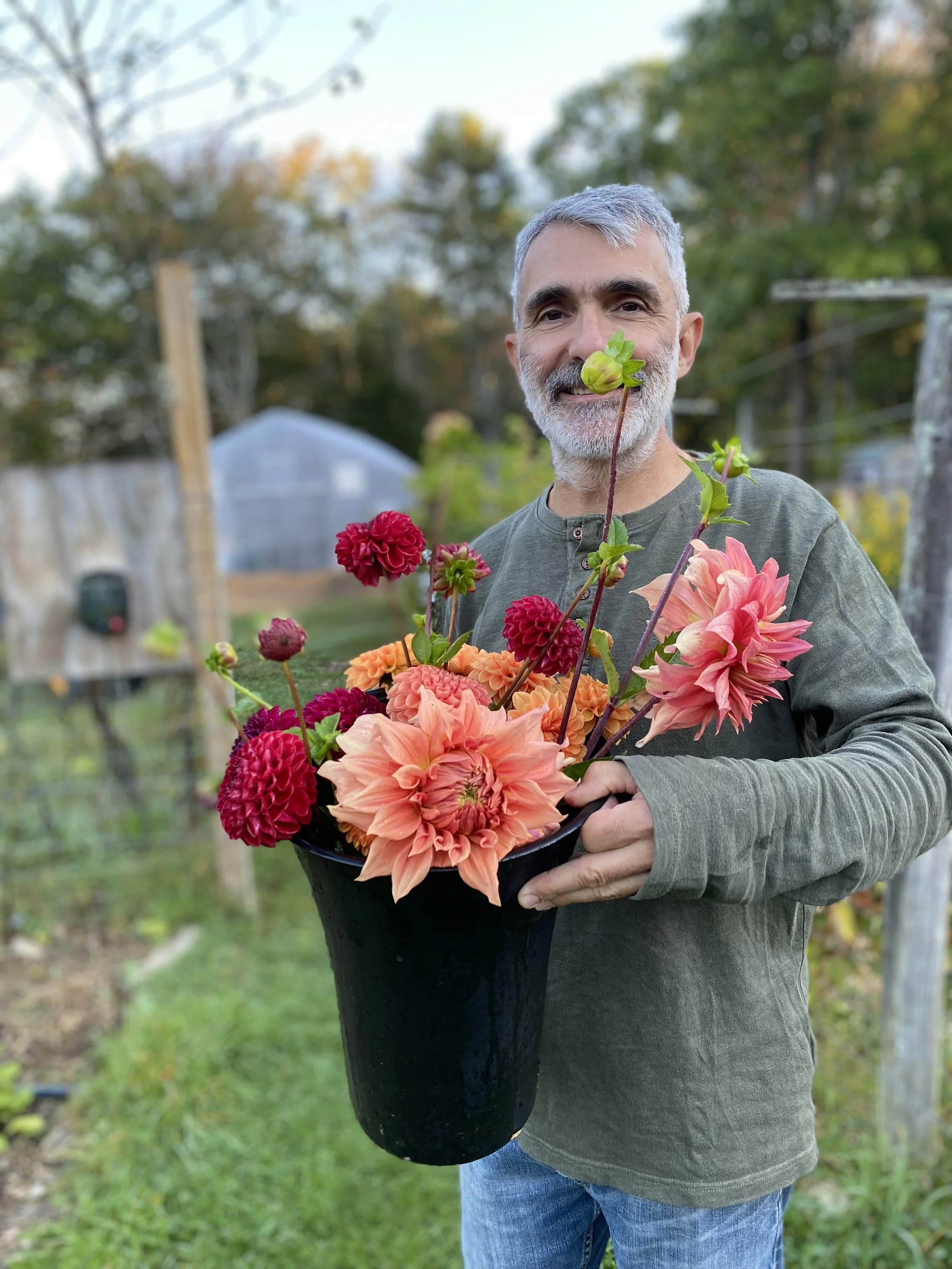 Cornel Dahlia EBB IMG_8220.jpeg