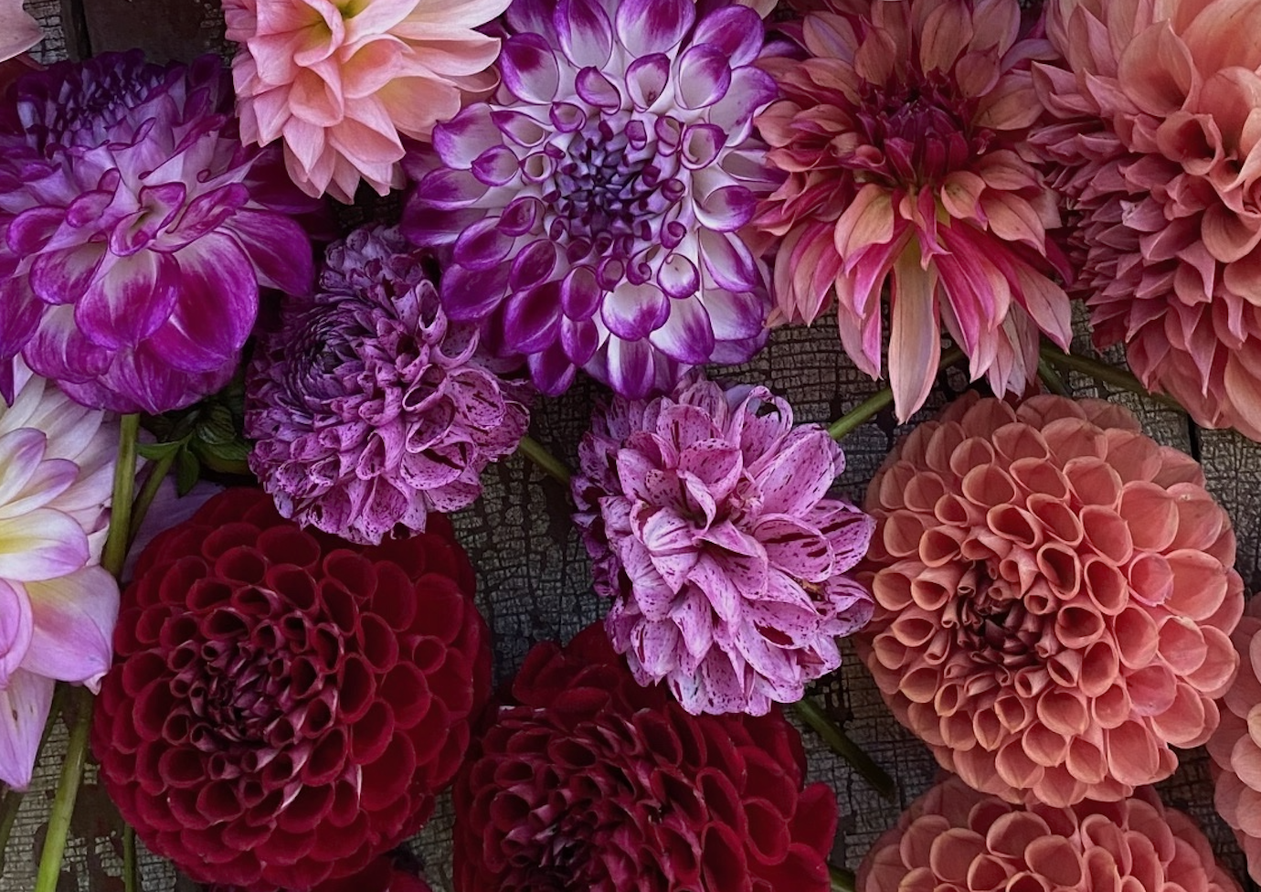 Screenshot 2026-03-07 at 12.19.26.png