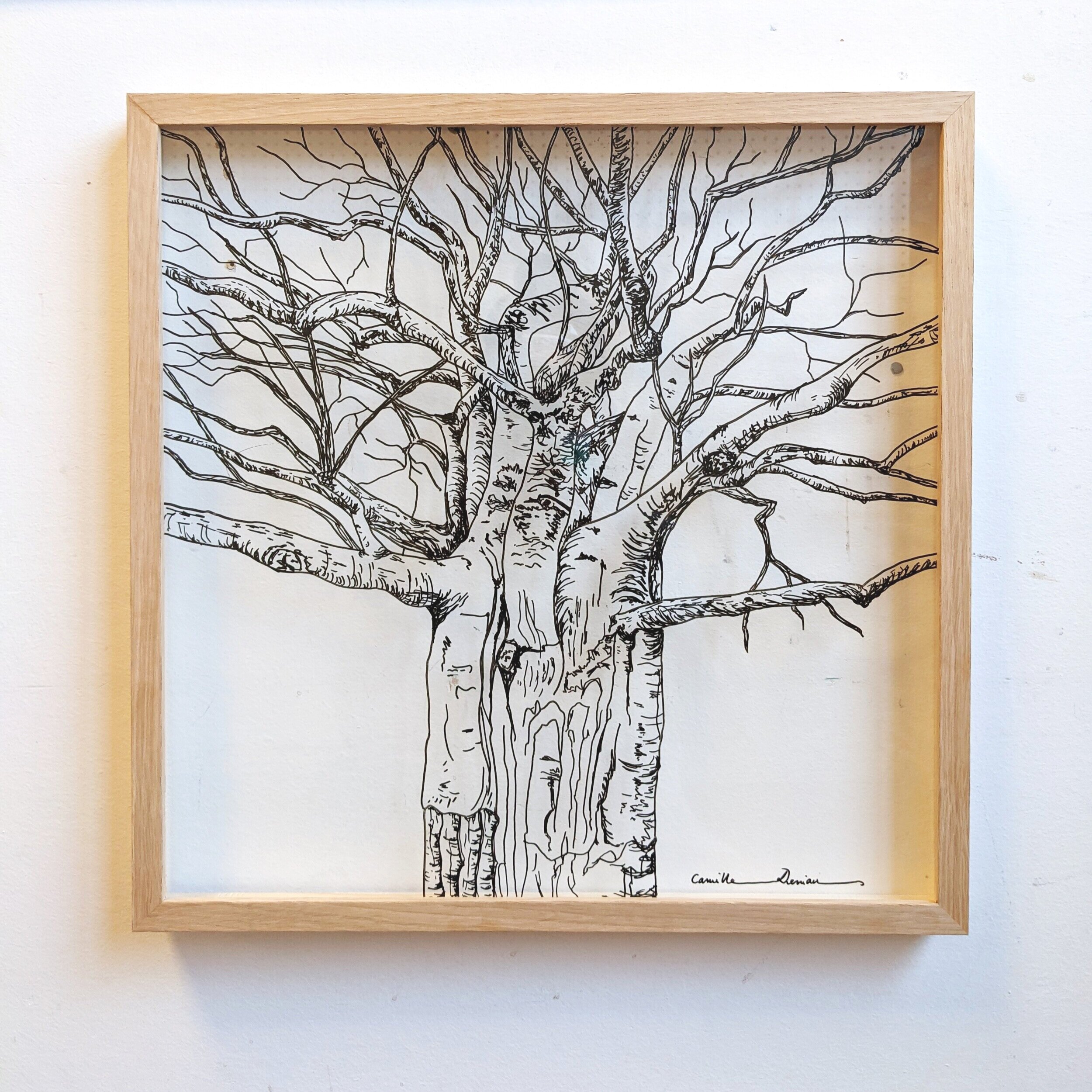   40x40cm / Paris-France   This piece commissioned by a couple, was inspired by a stunning baobab that they spent time admiring during their trip to Kenya. They remember how tiny they felt when looking up at it, how special it was to hug and how incr