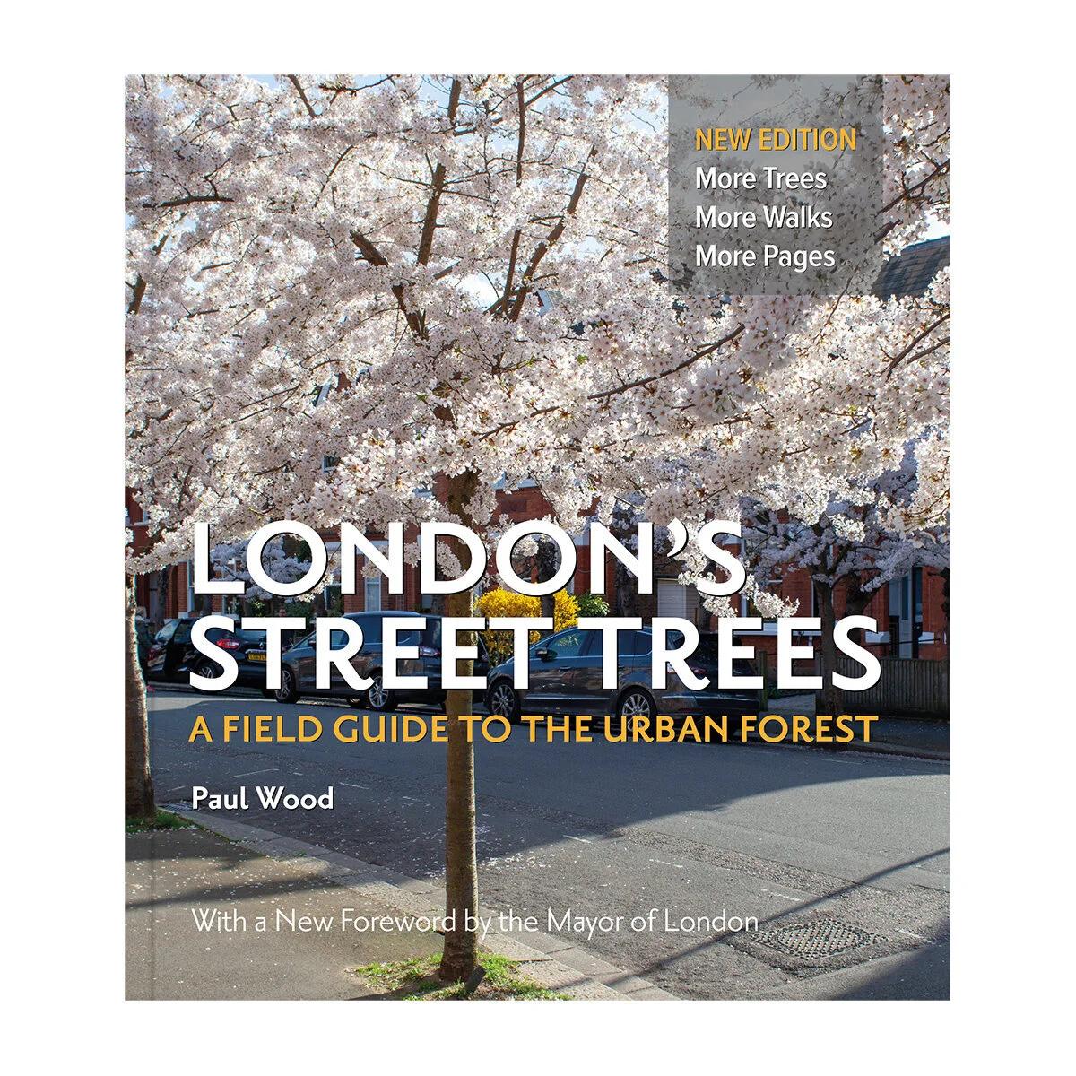 Meet Paul Wood, Author &amp; Tree researcher