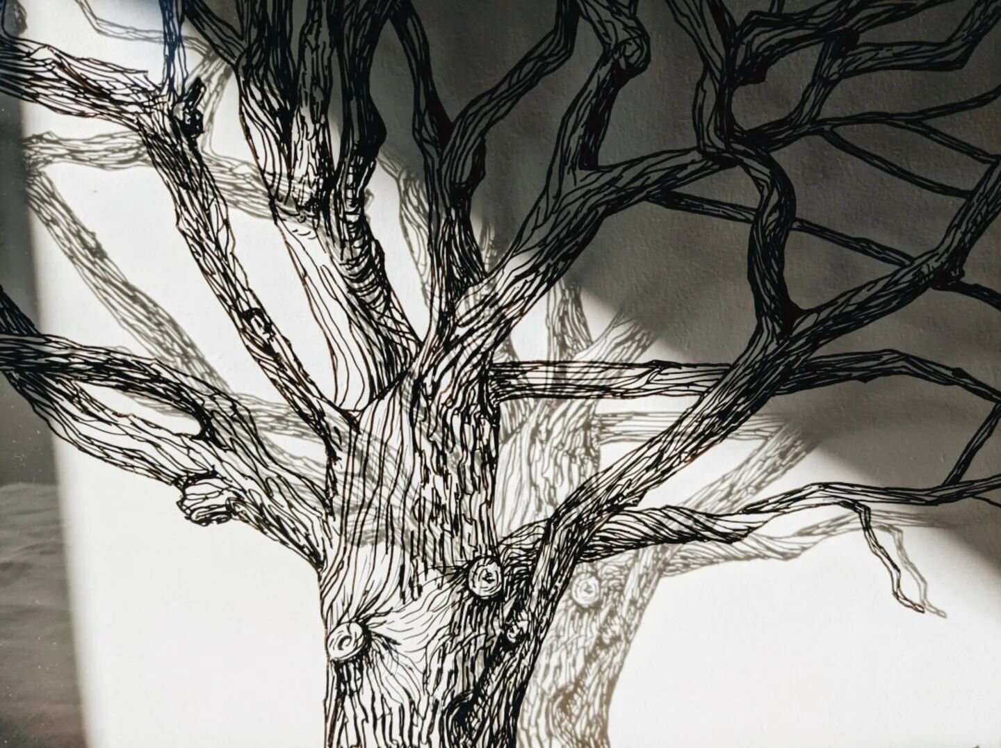 When the sun shines on the glass, it reveals a second tree, the shadow tree 👀☀️. It's a magic and always unexpected moment to see this game of light and shadow in my artwork. This is what makes my black permanent marker drawings on glass special and