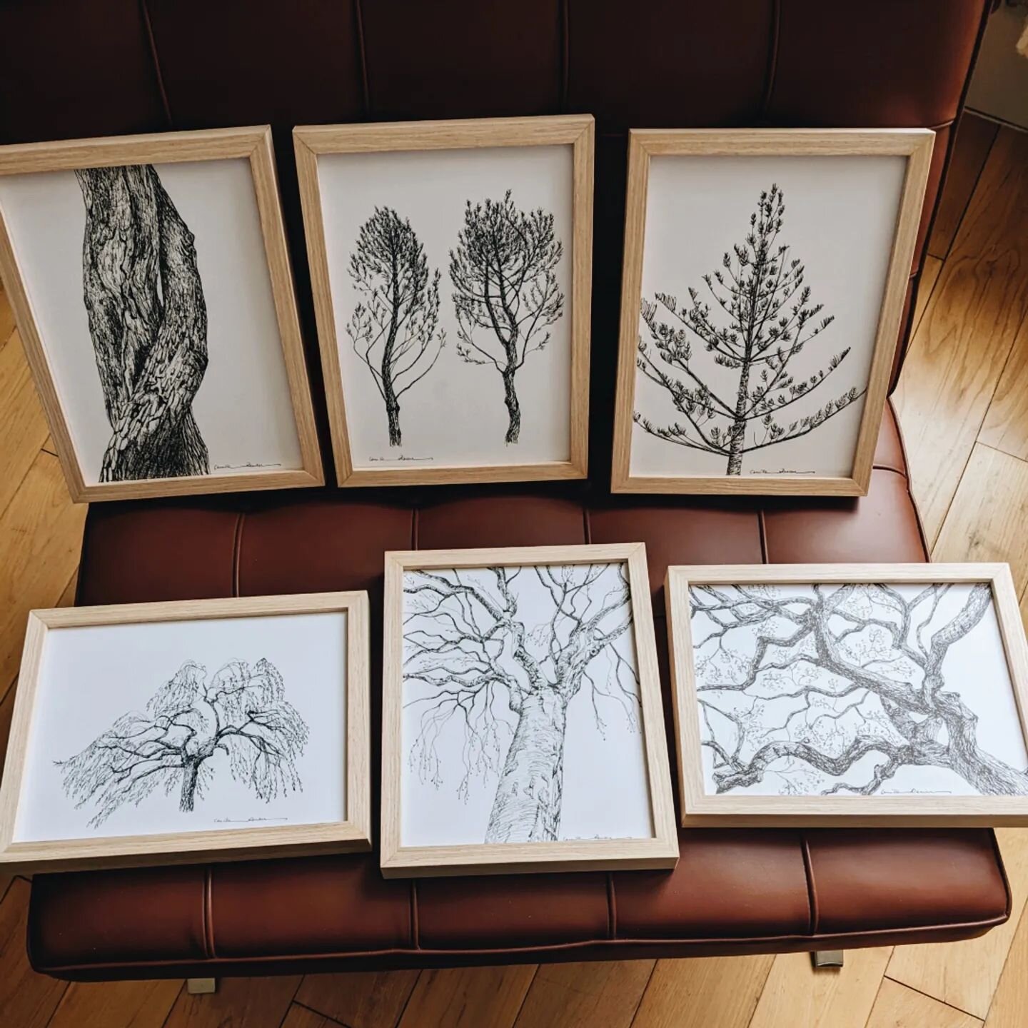 A selection of the smaller drawings I created in March, inspired from different trees around the world. Like a collection of curiosities, with different emotions, movements and angles. 🌿

The size 20x26cm (a bit smaller than A4) is perfect for an in