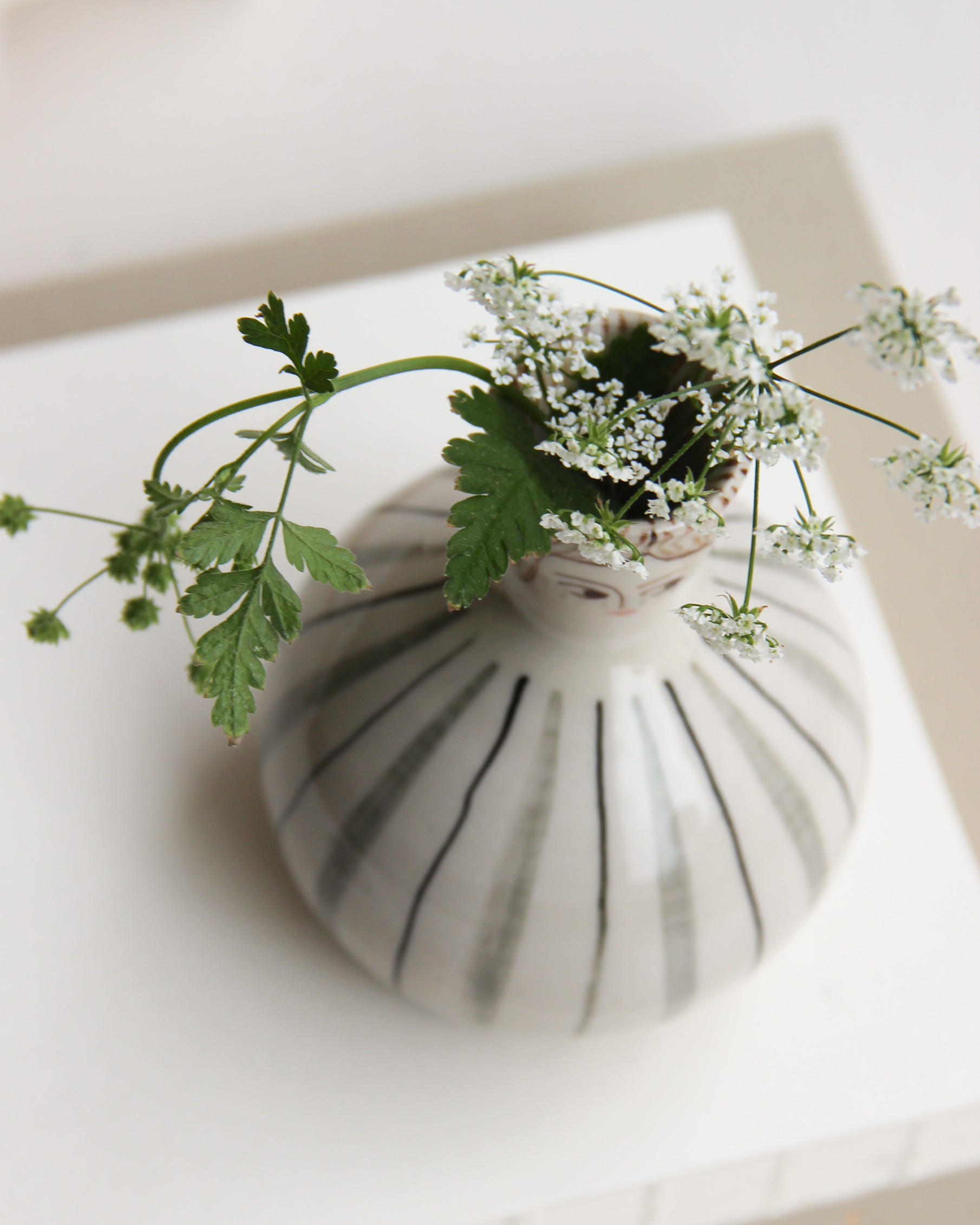 Vase13.png