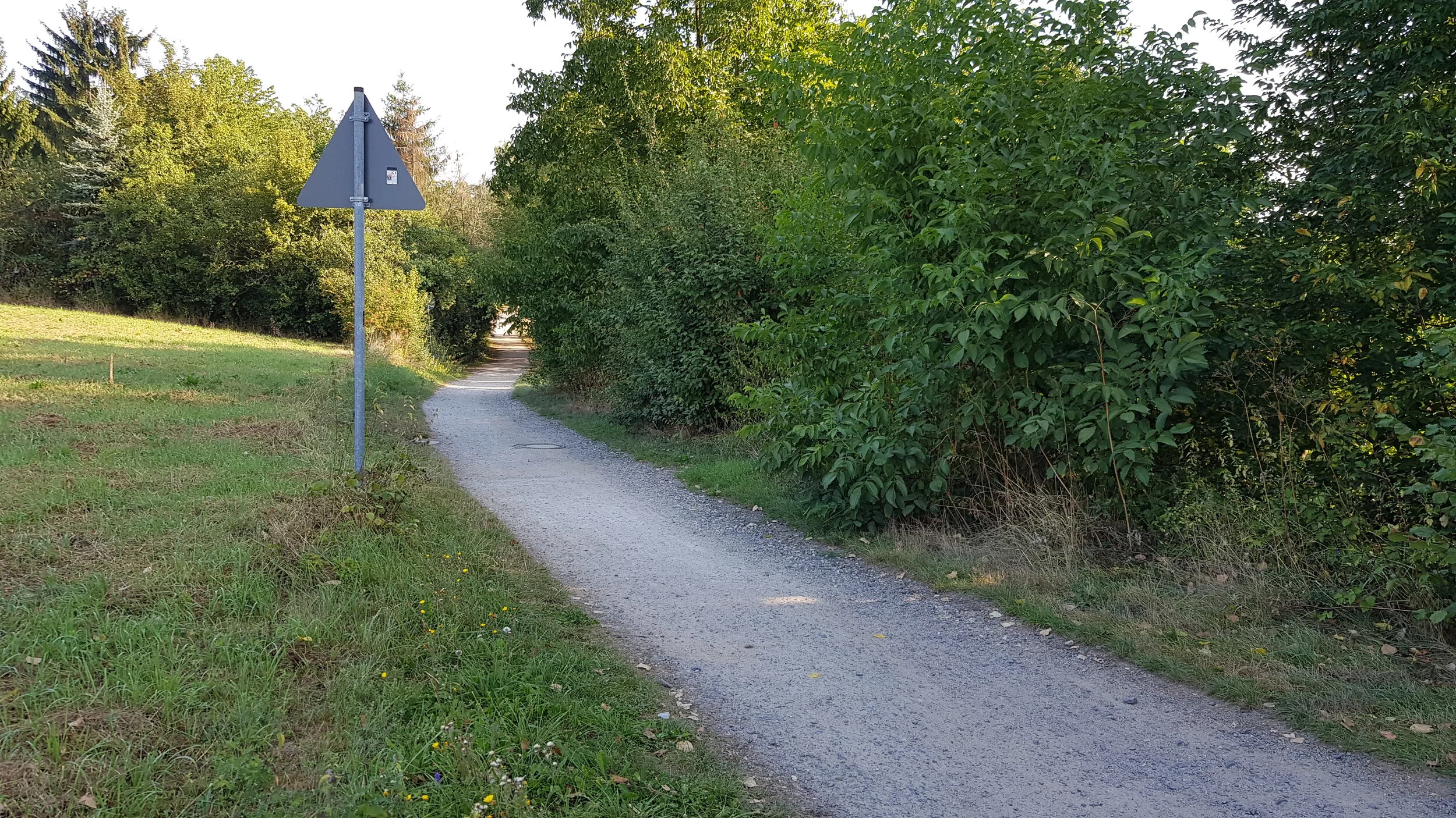 Niddaroute Dortelweil (4).JPEG