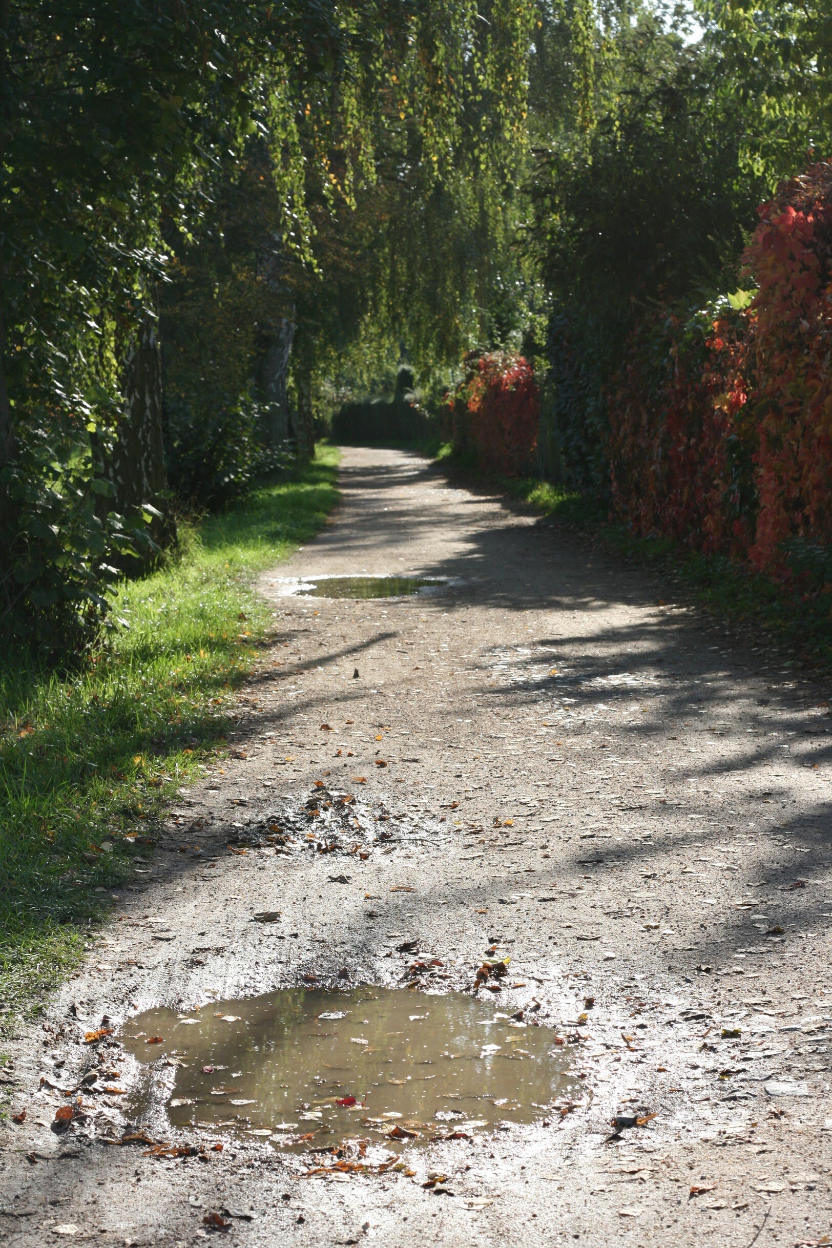 Die Niddaroute ist in schlechtem Zustand.