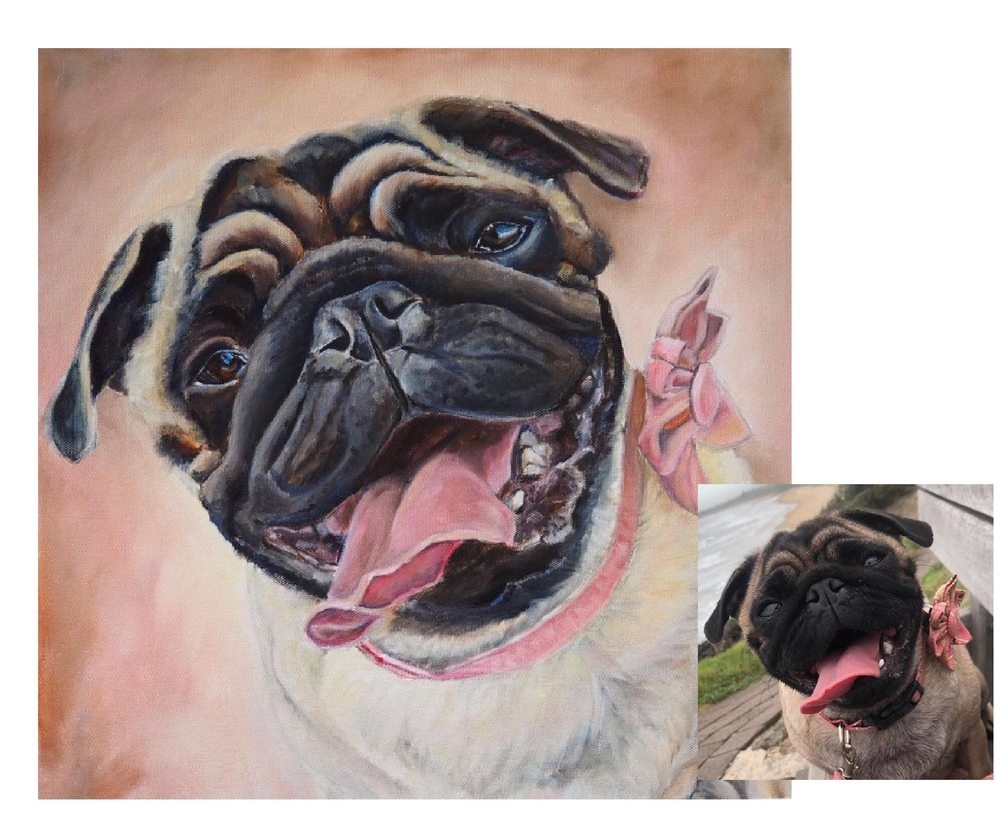 pug-portrait-tilly-before-and-after-opal-pastro-art-before-and-after.jpg