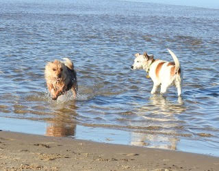 girls at the beach.jpg