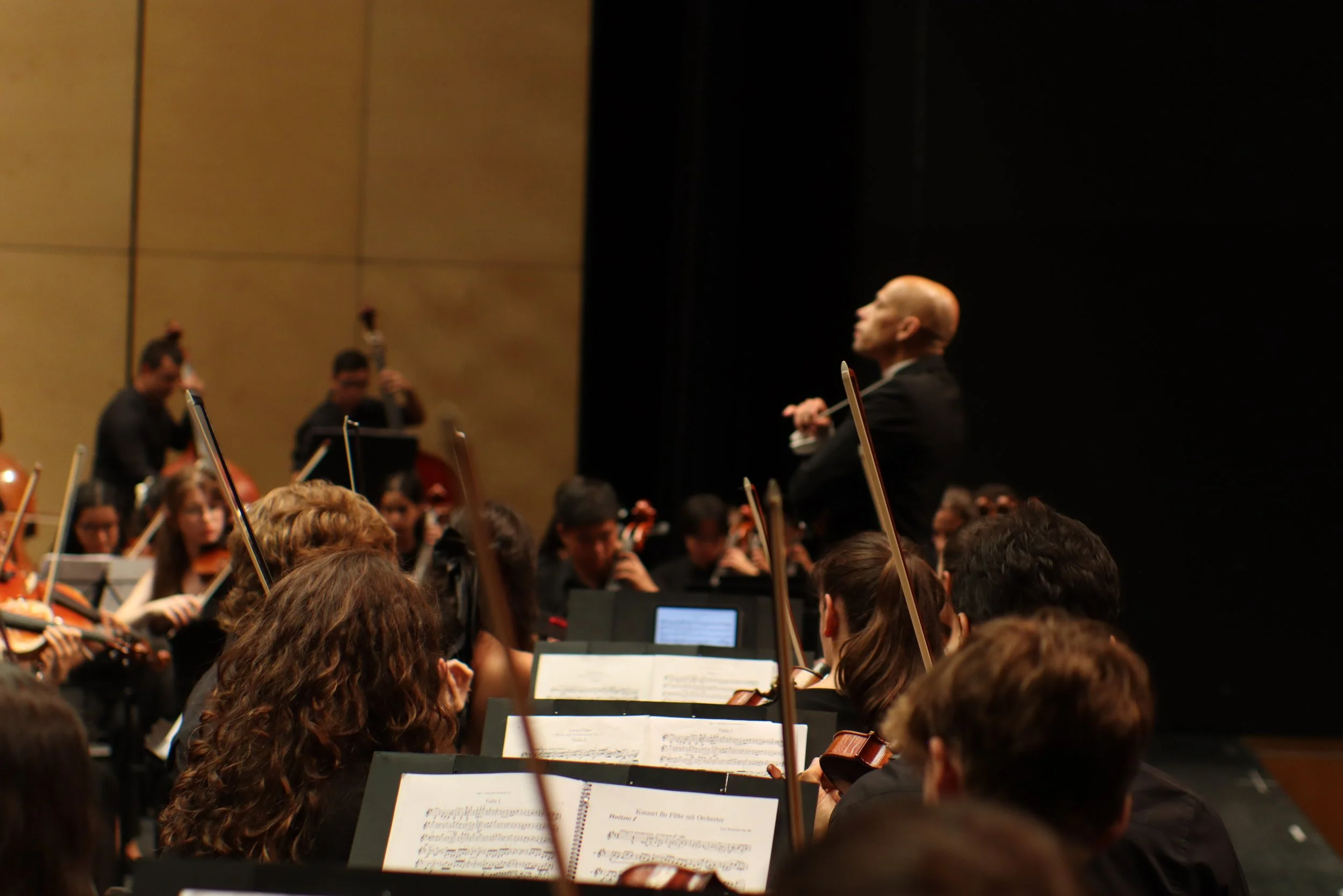 Estrela Music SummerCamp Symphony Orchestra