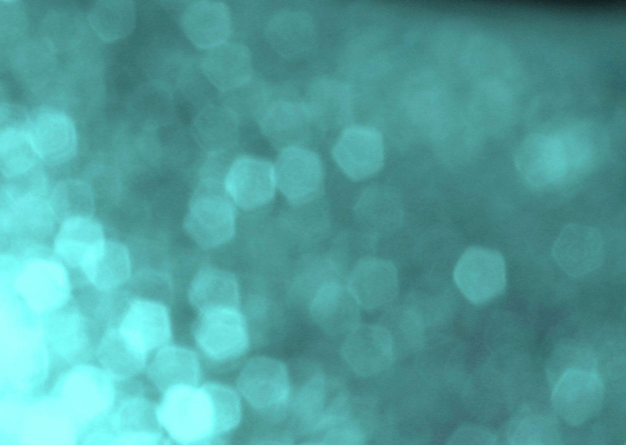stockvault-abstract-bokeh-light-background142092.jpg